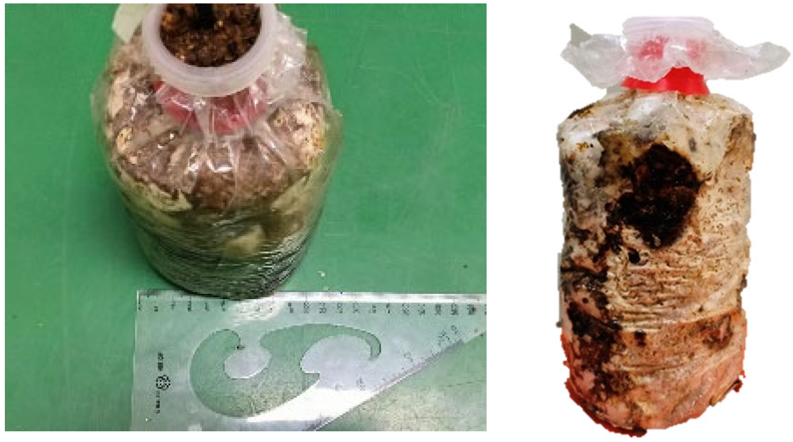 Agriculture 14 01841 g003