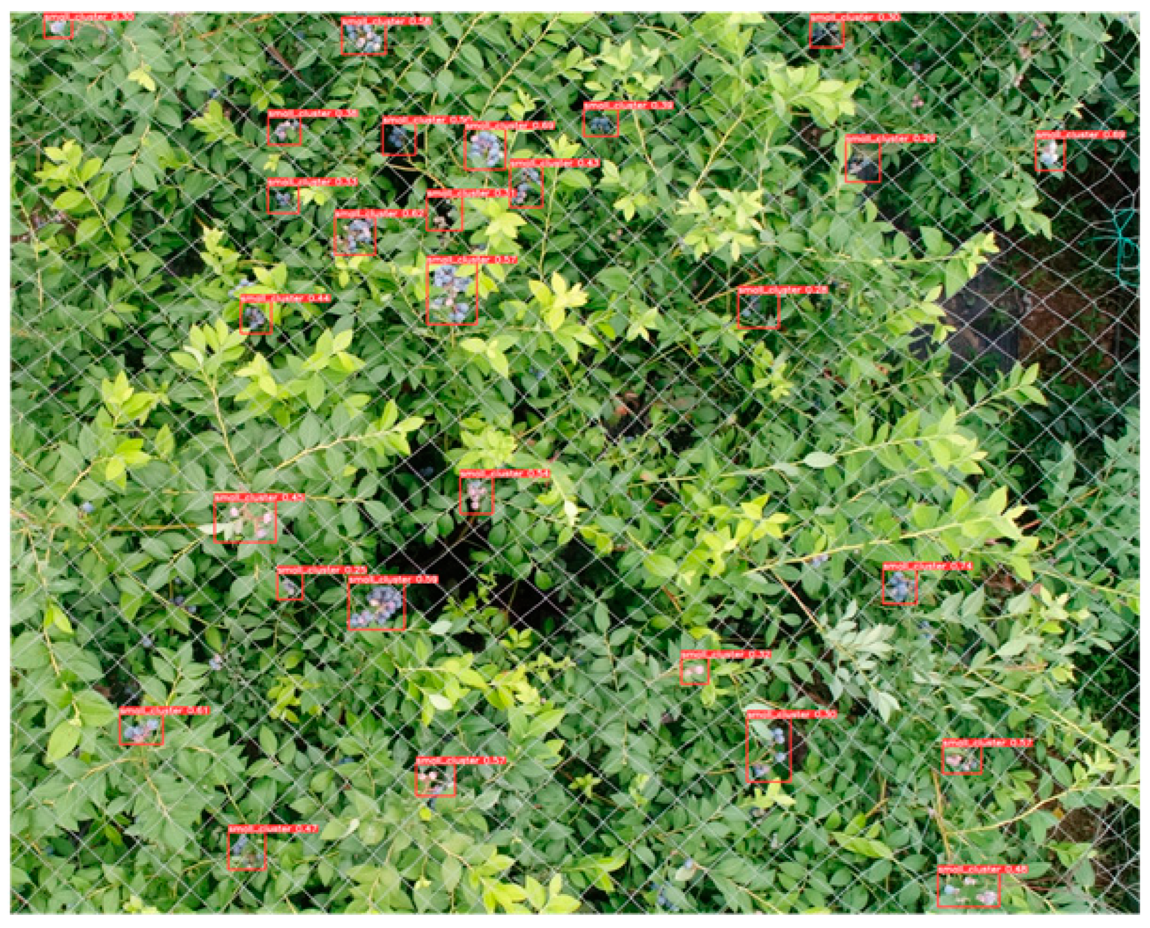 Agriculture 14 01842 g008