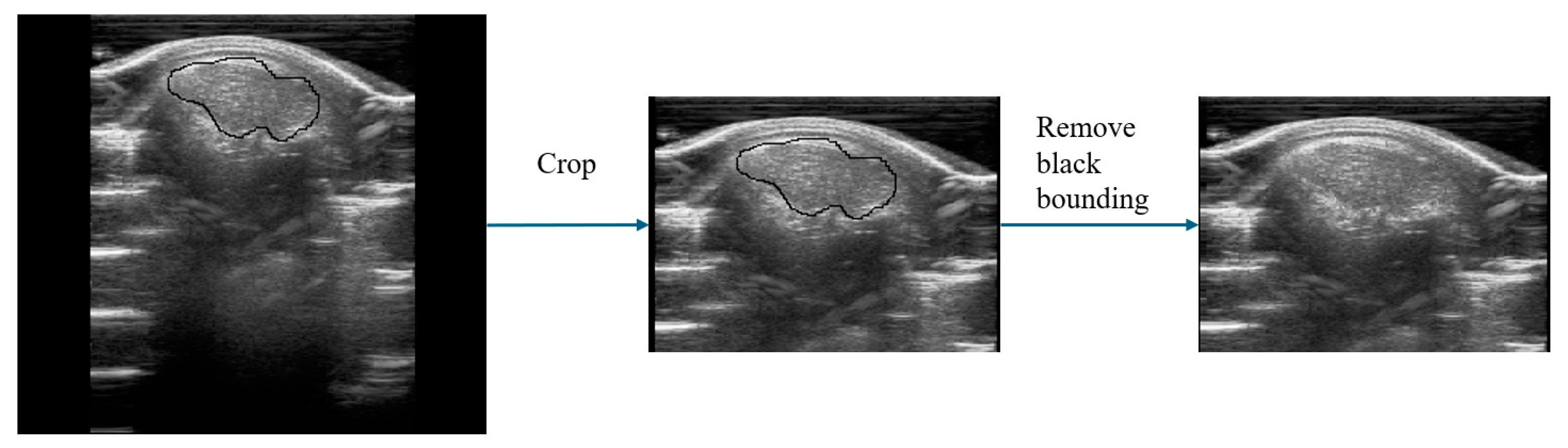 Agriculture 14 01843 g003