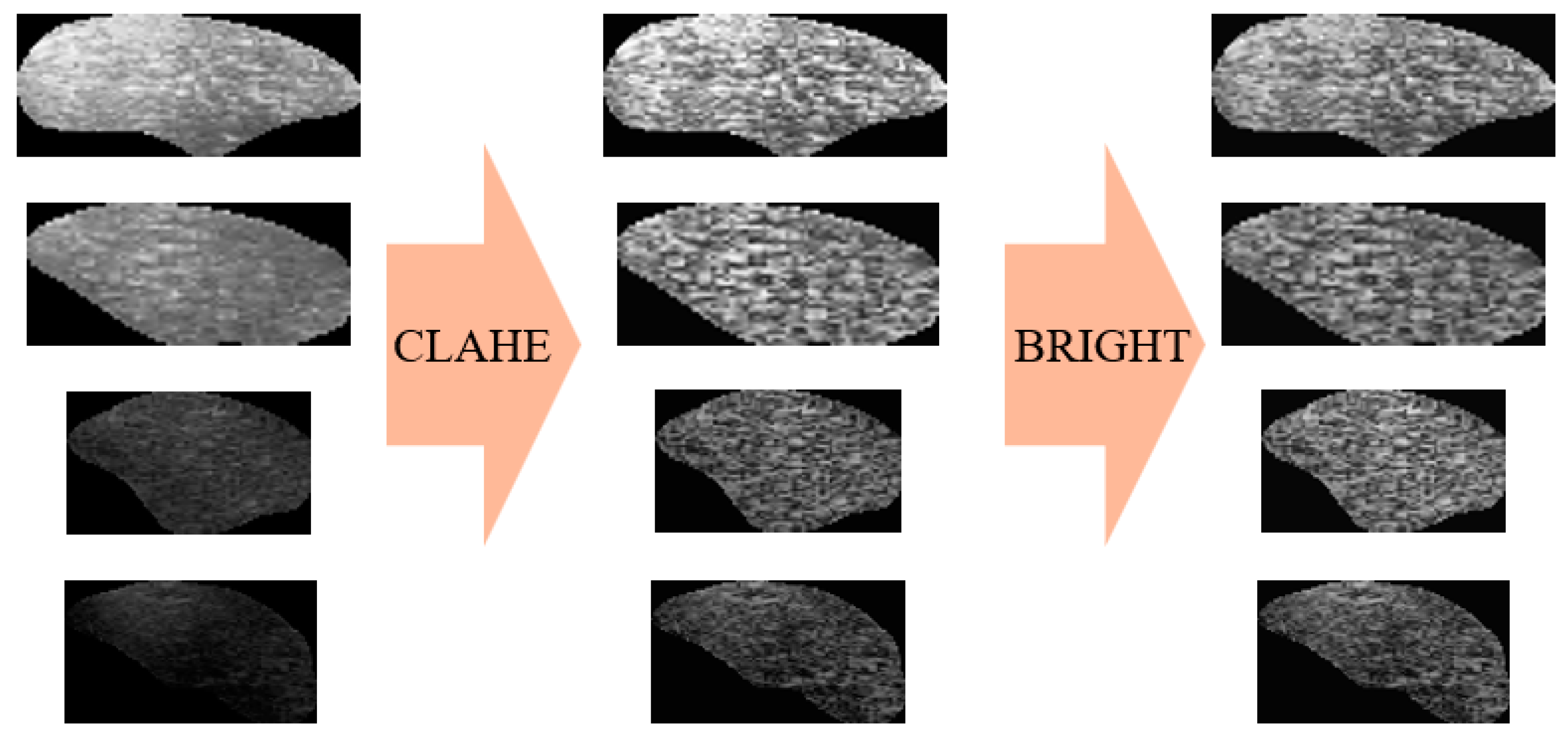 Agriculture 14 01843 g004