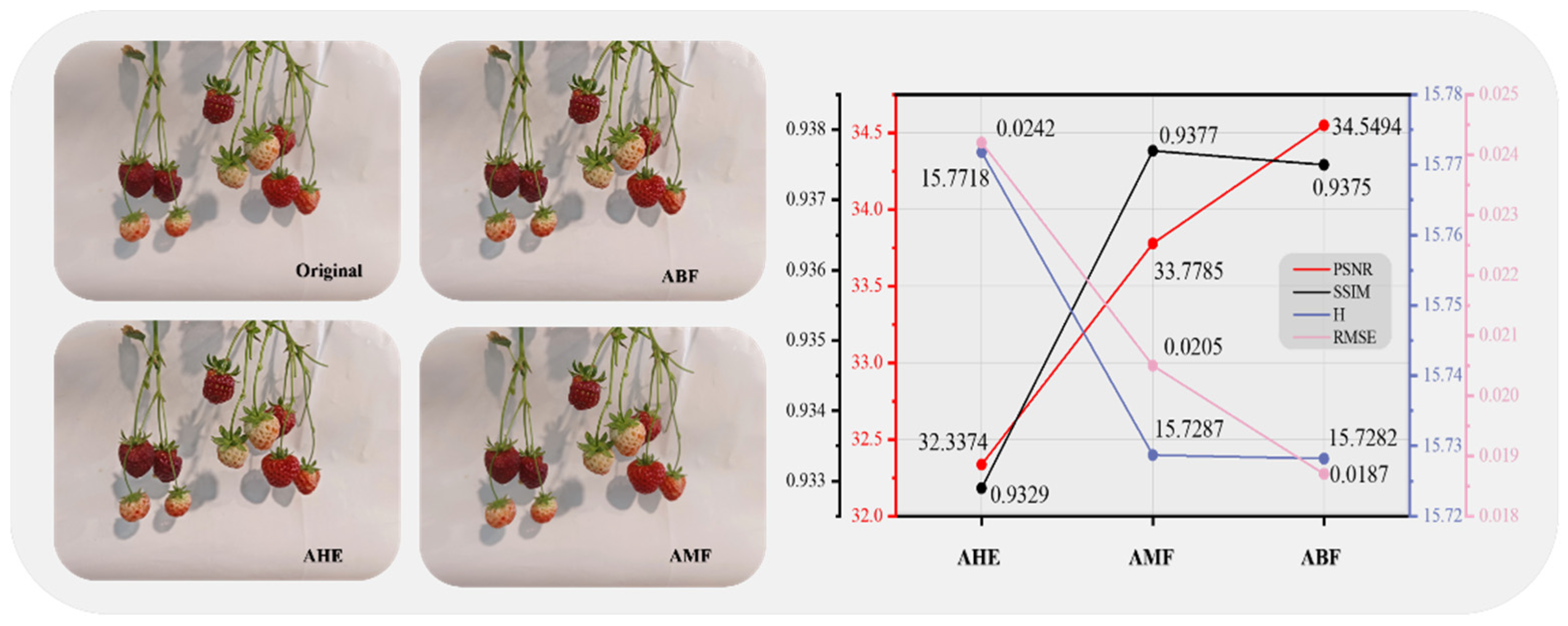 Agriculture 14 01848 g002
