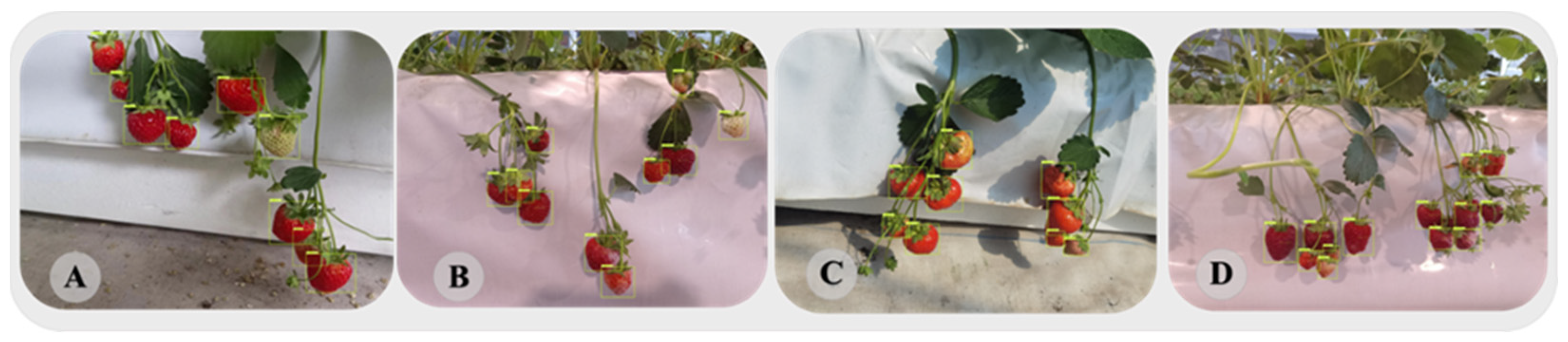 Agriculture 14 01848 g008