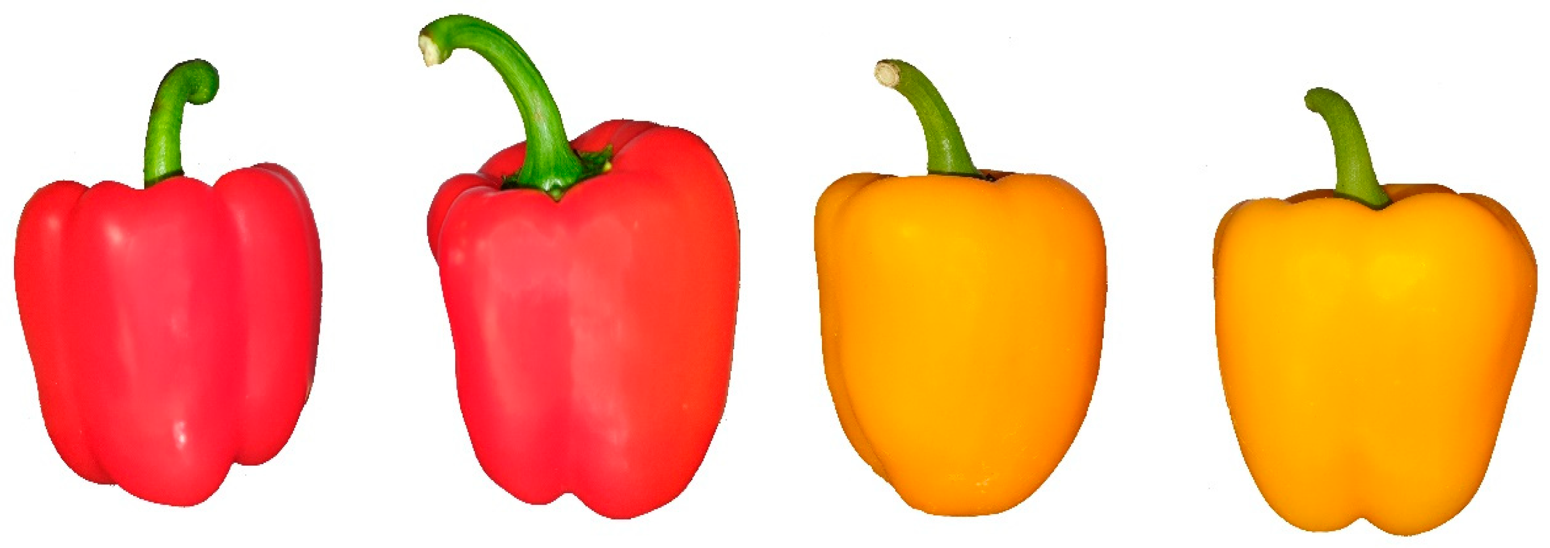 Agriculture 14 01855 g001