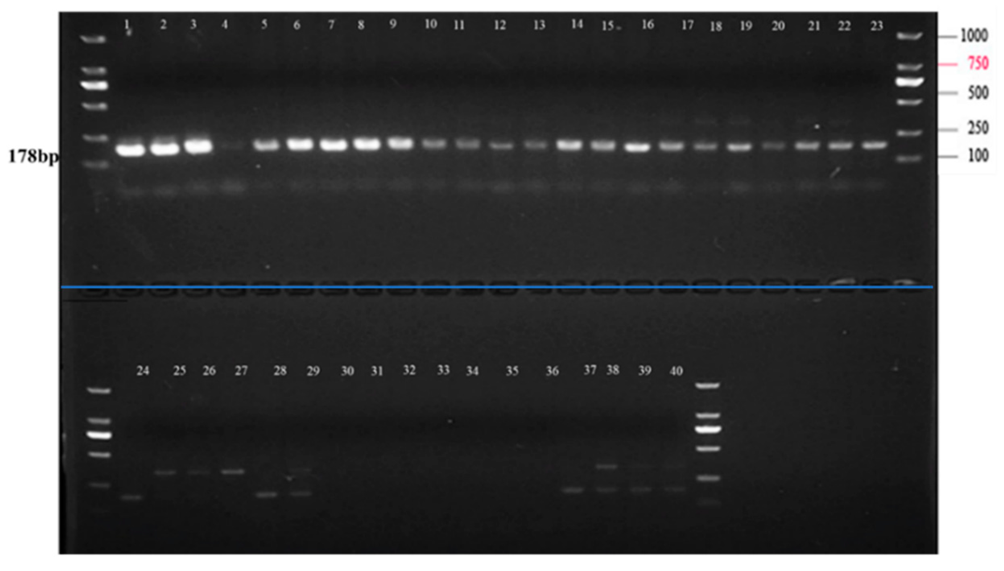 Agriculture 14 01857 g005 Agriculture 14 01857 g005