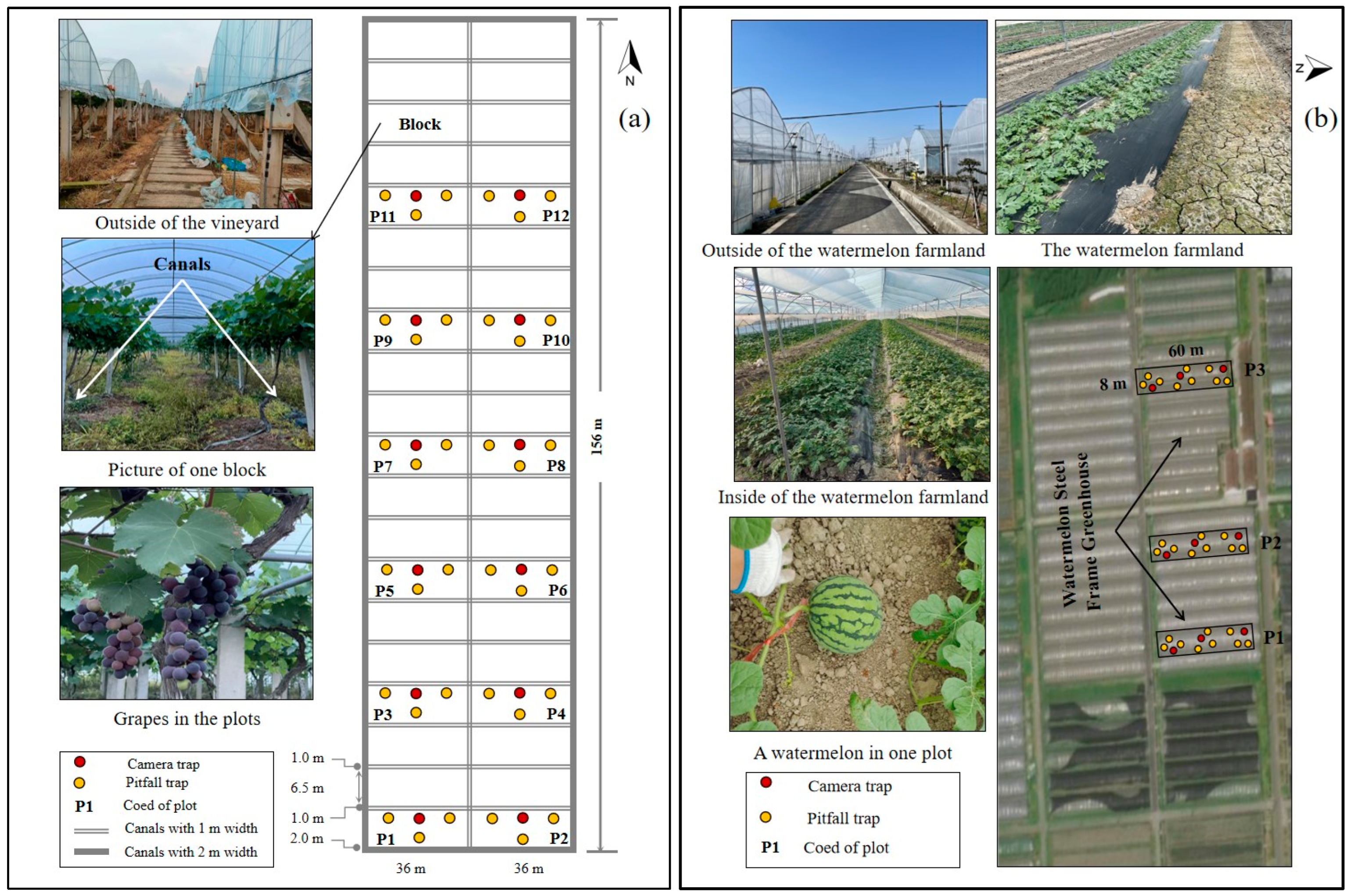 Agriculture 14 01866 g001