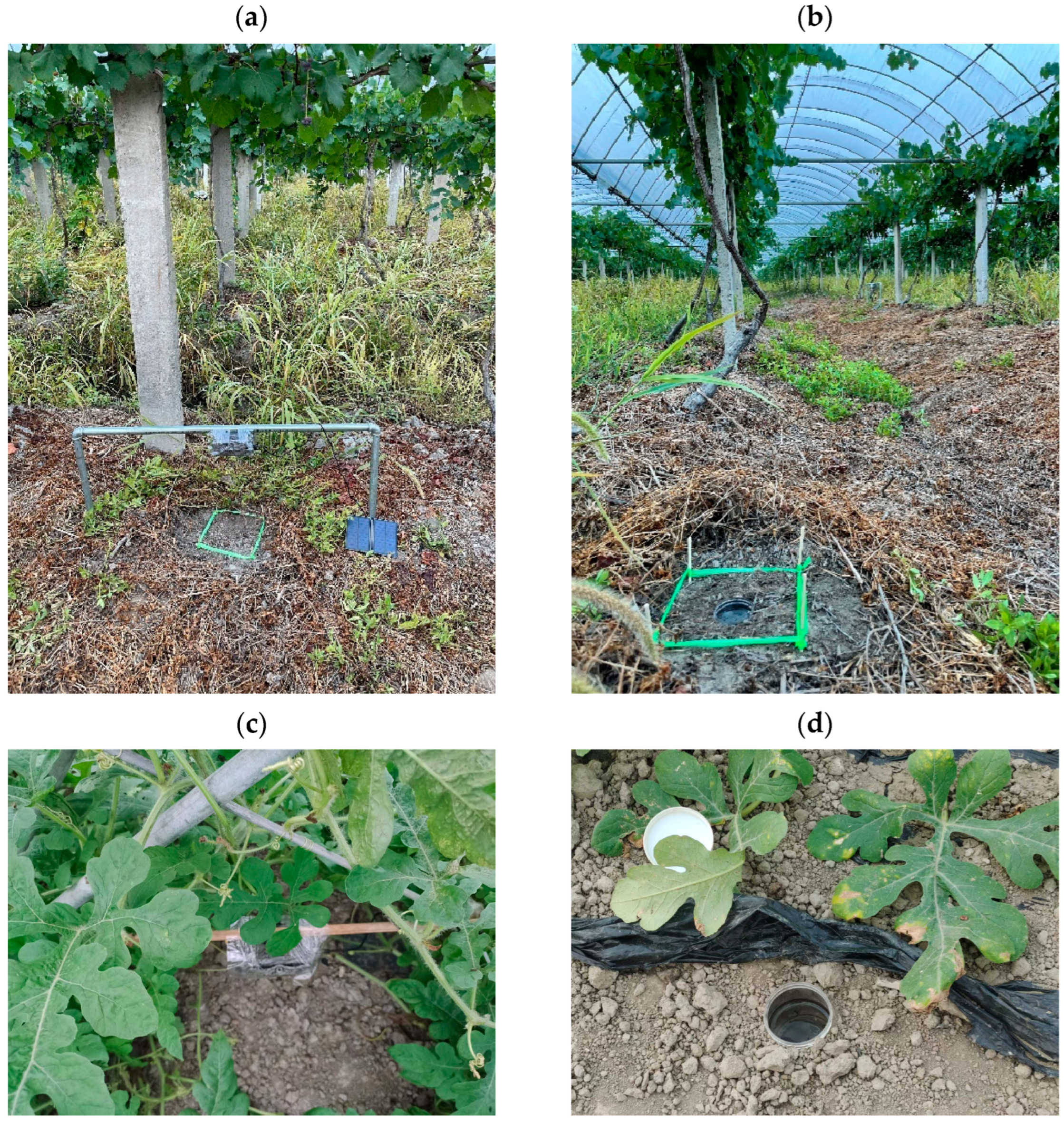 Agriculture 14 01866 g002