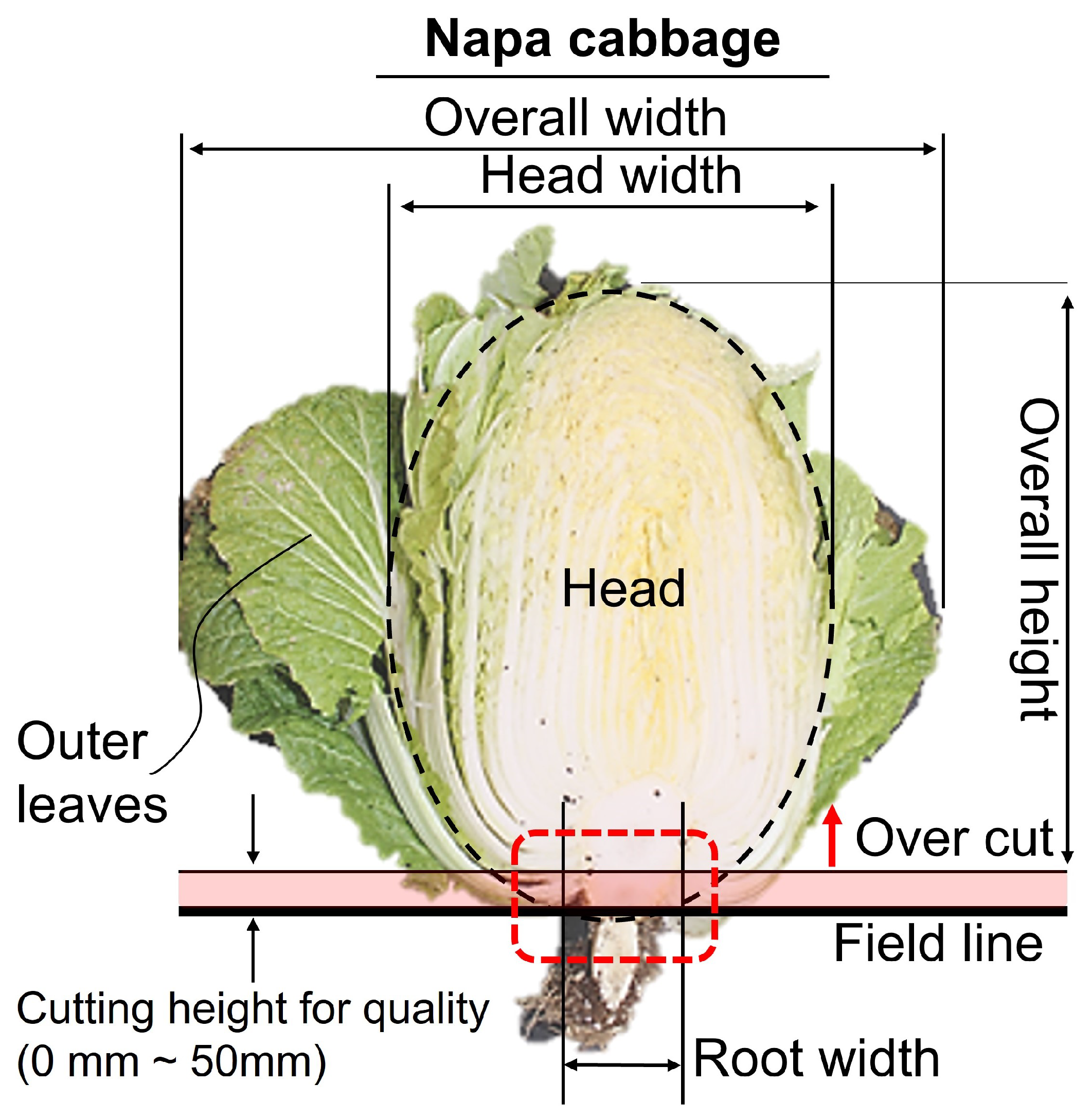 Agriculture 14 01869 g001