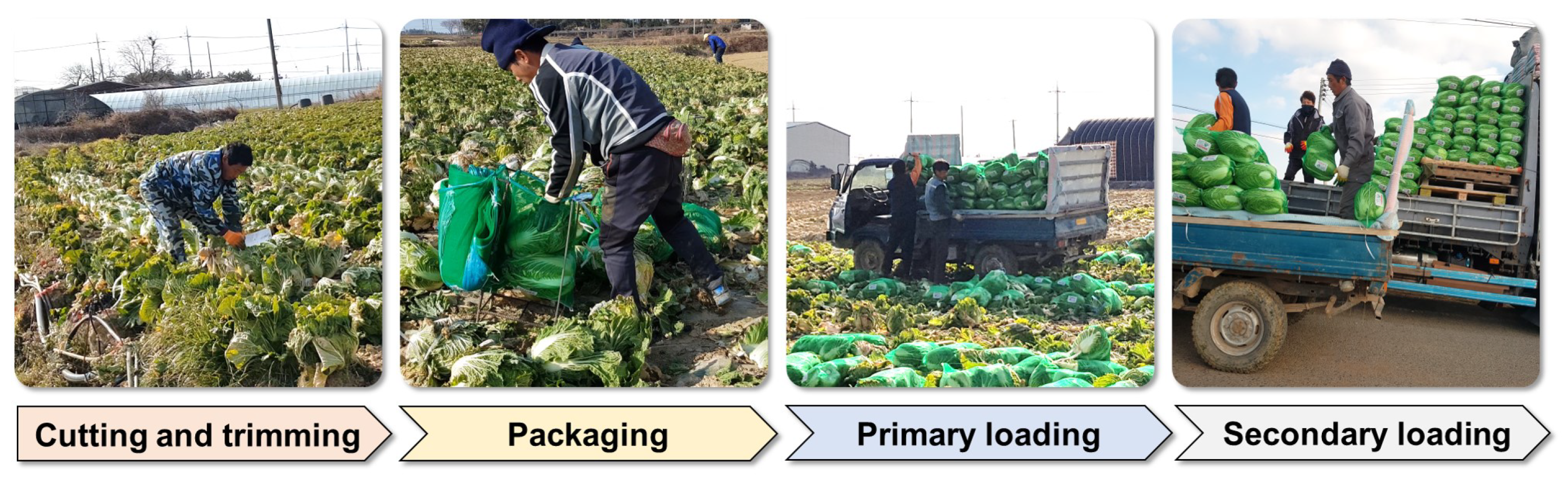 Agriculture 14 01869 g002