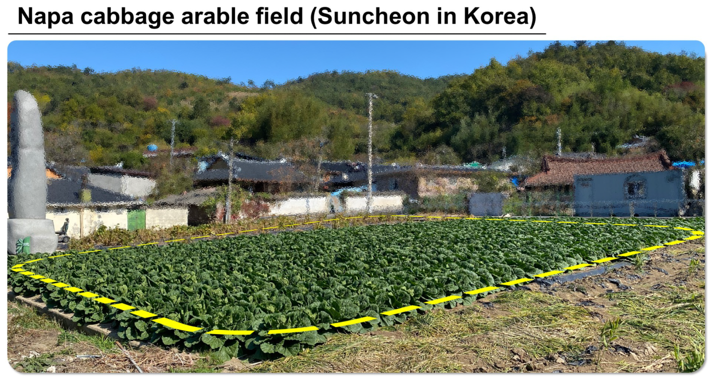 Agriculture 14 01869 g017