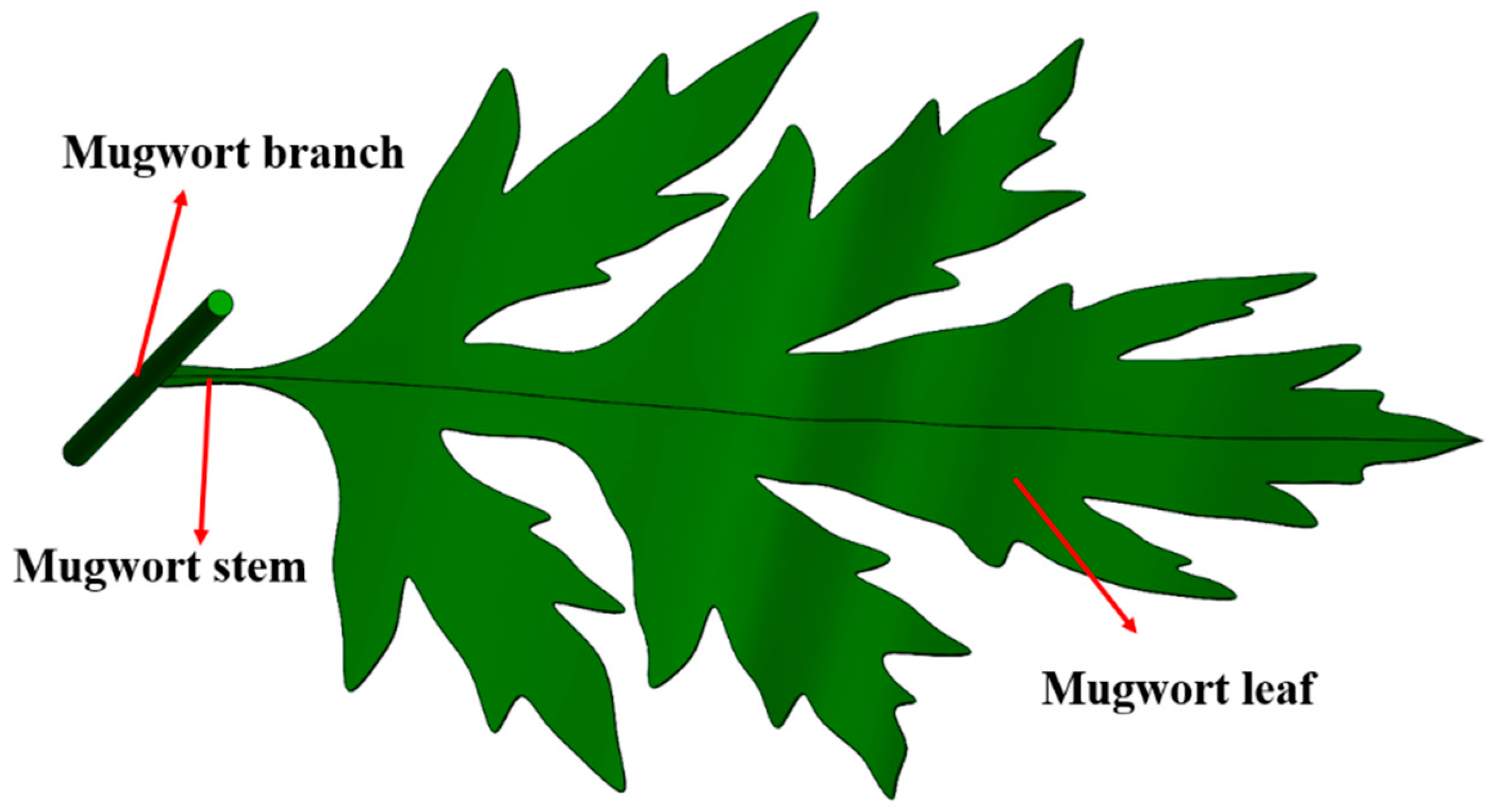 Agriculture 14 01875 g001