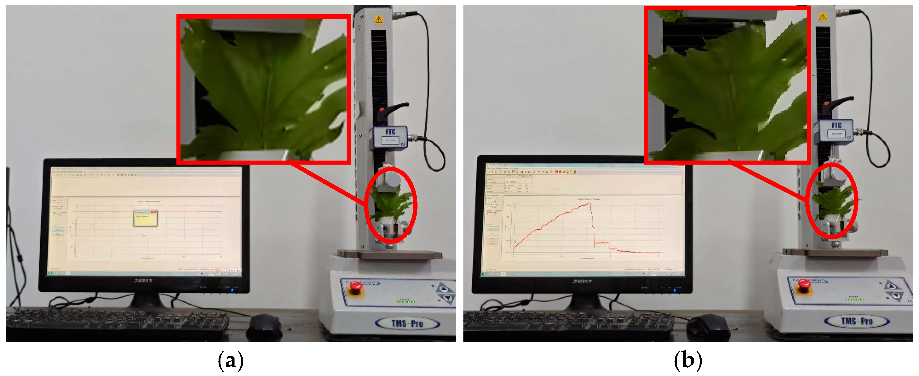 Agriculture 14 01875 g003