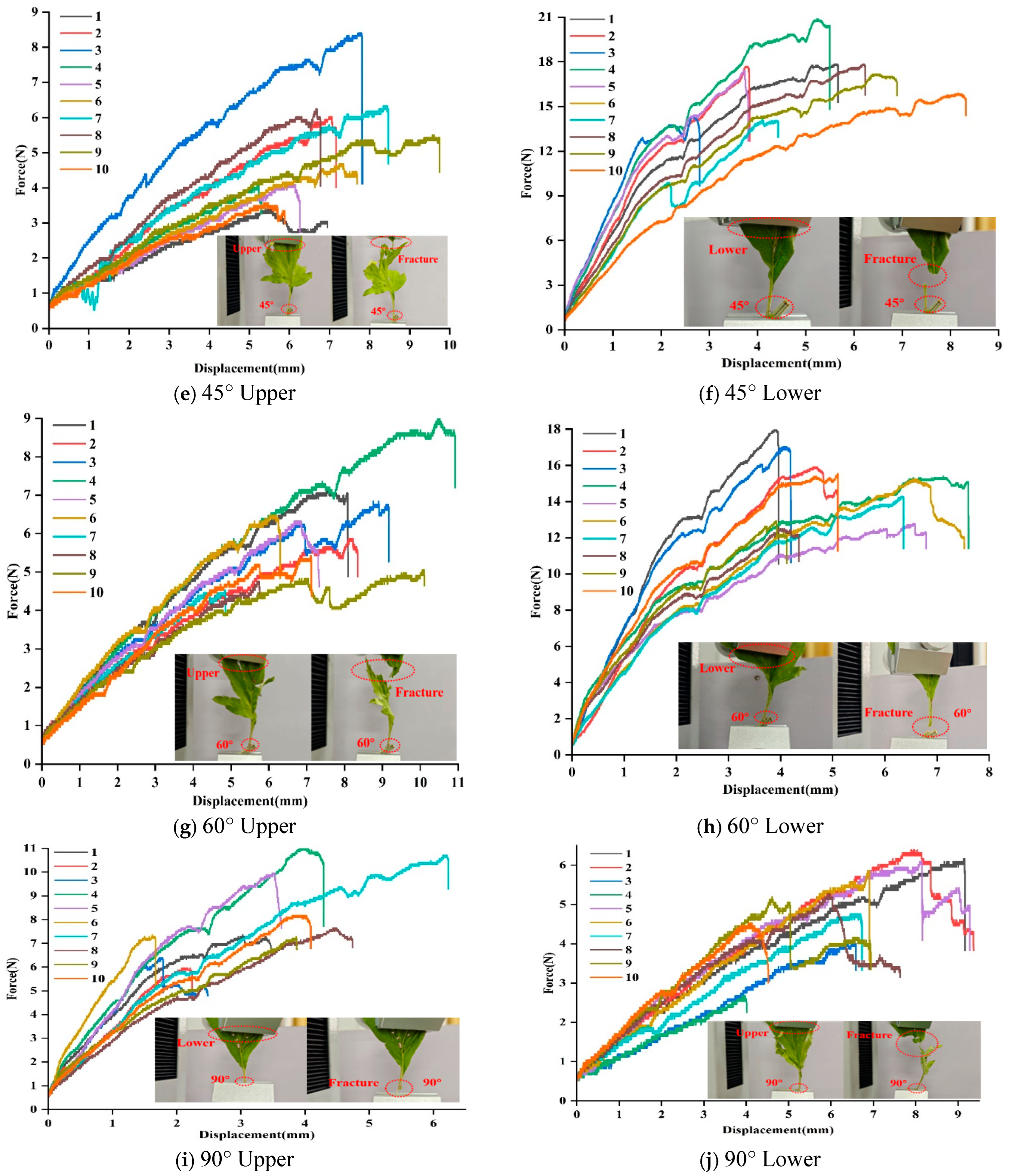 Agriculture 14 01875 g009b