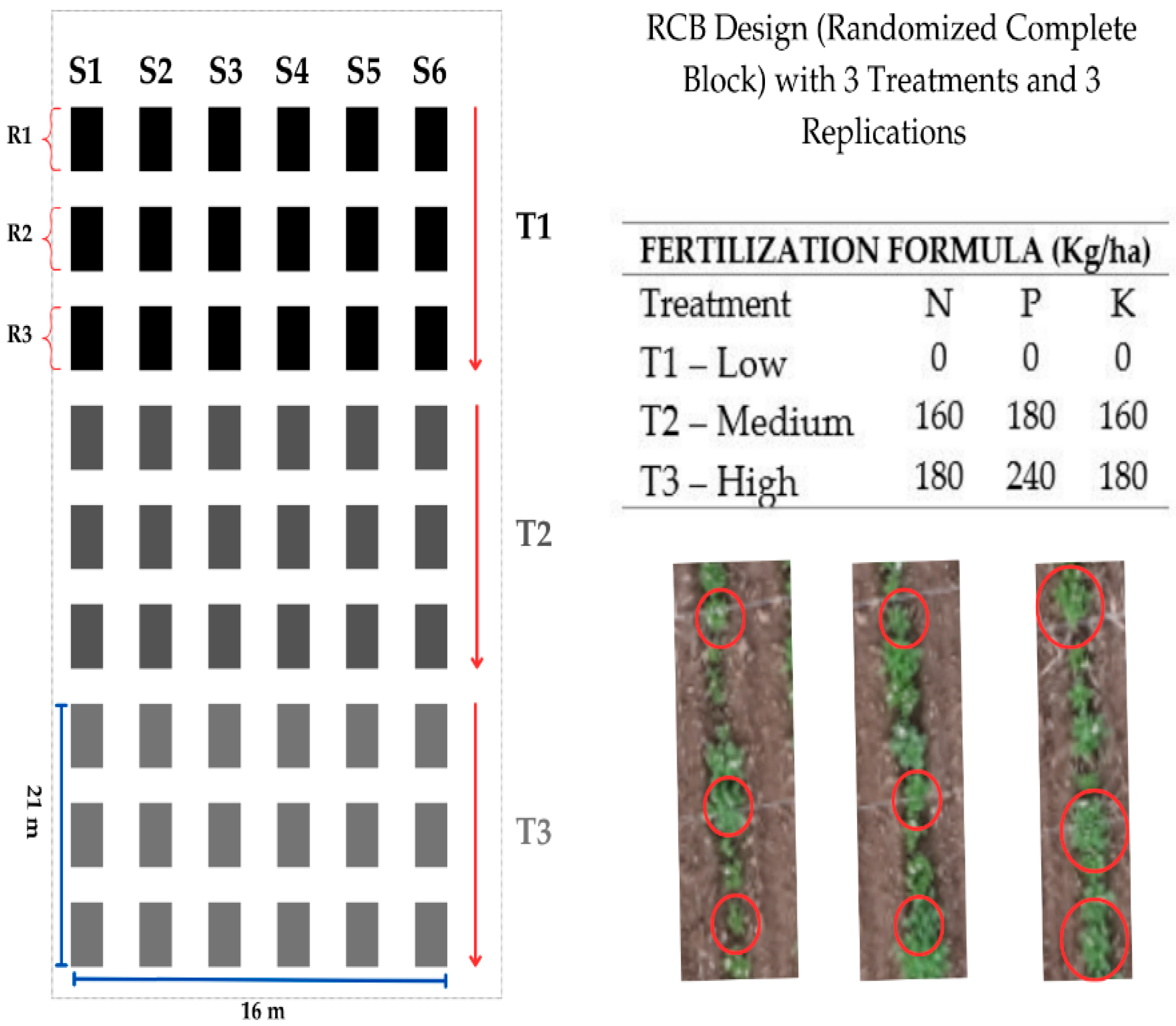 Agriculture 14 01876 g002