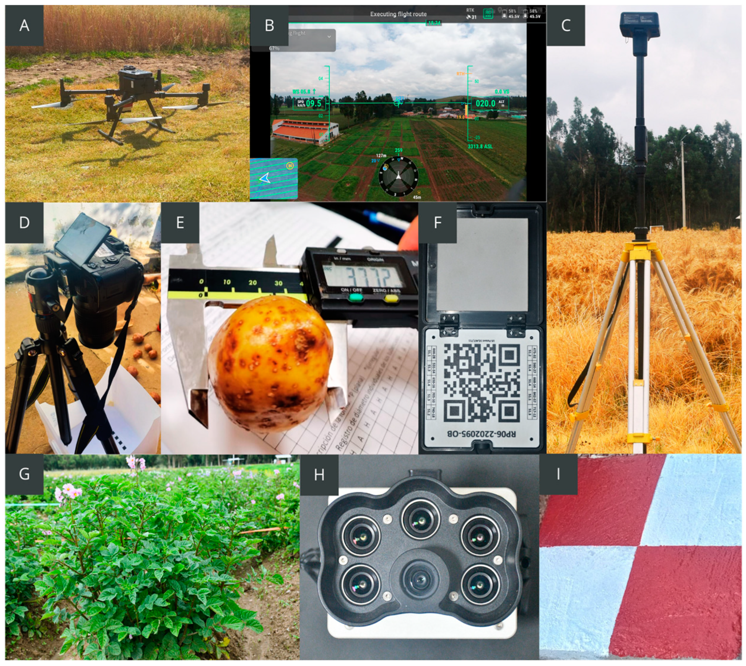 Agriculture 14 01876 g004