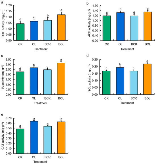 The Synergistic Effect of Plant Growth-Promoting