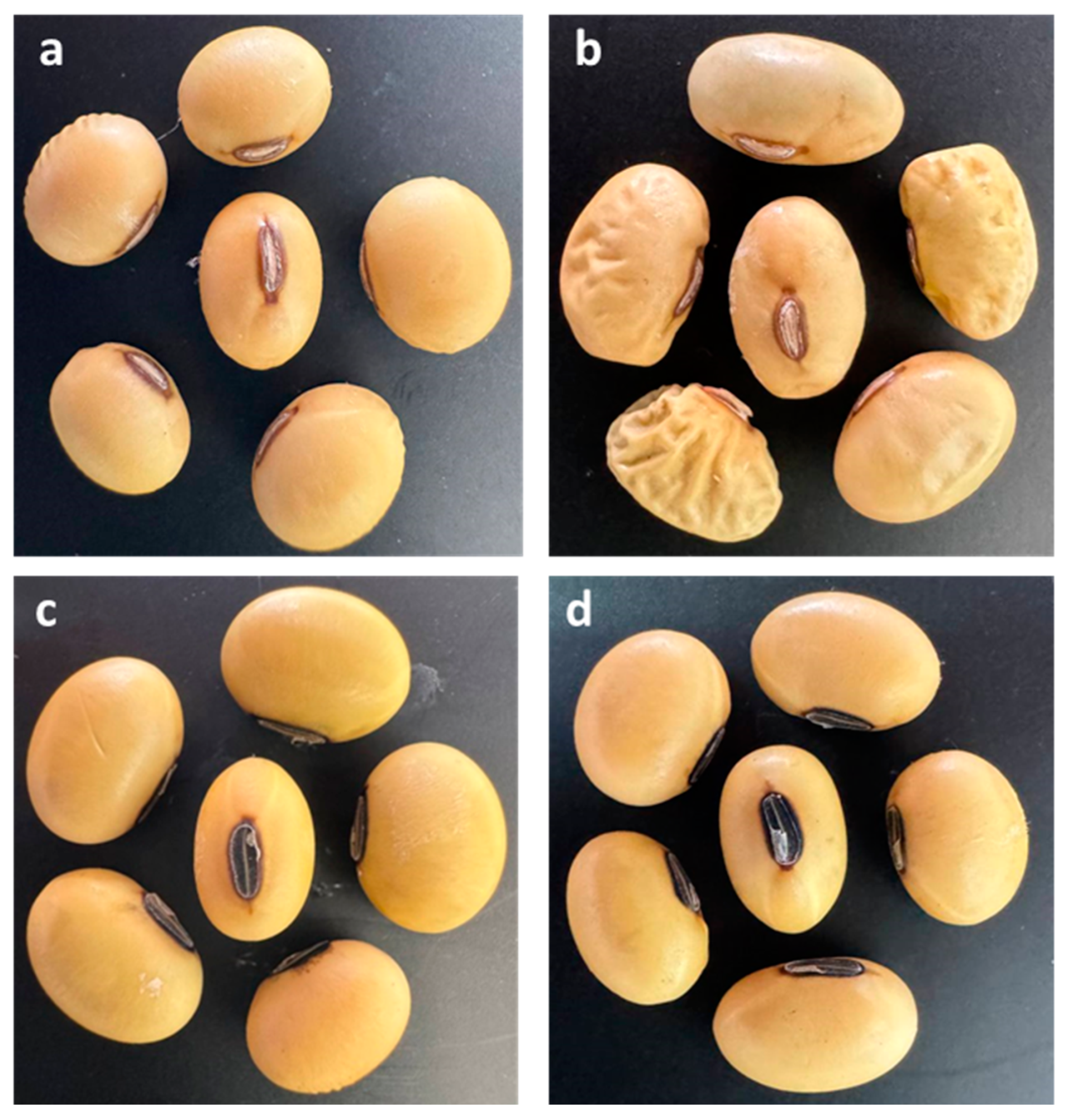 Agriculture 14 01884 g003