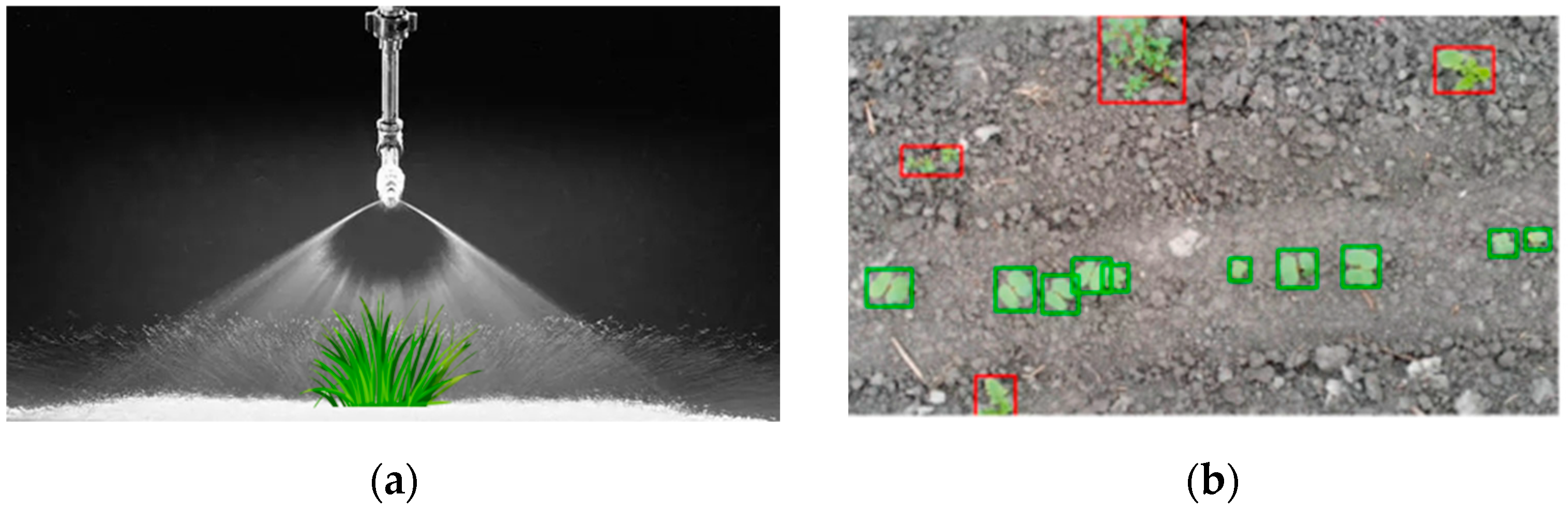 Agriculture 14 01885 g001