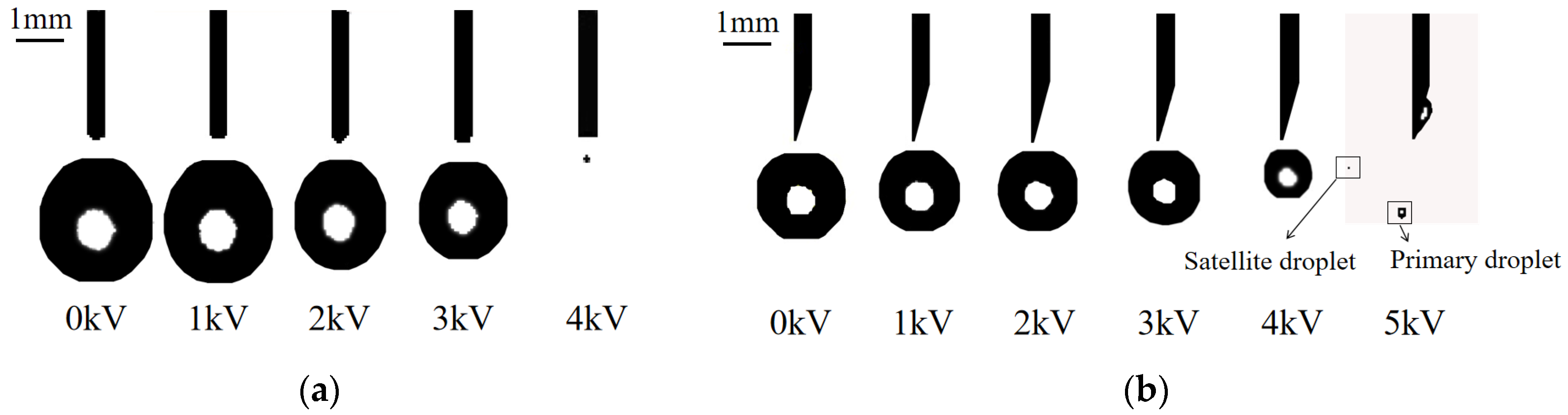 Agriculture 14 01885 g005