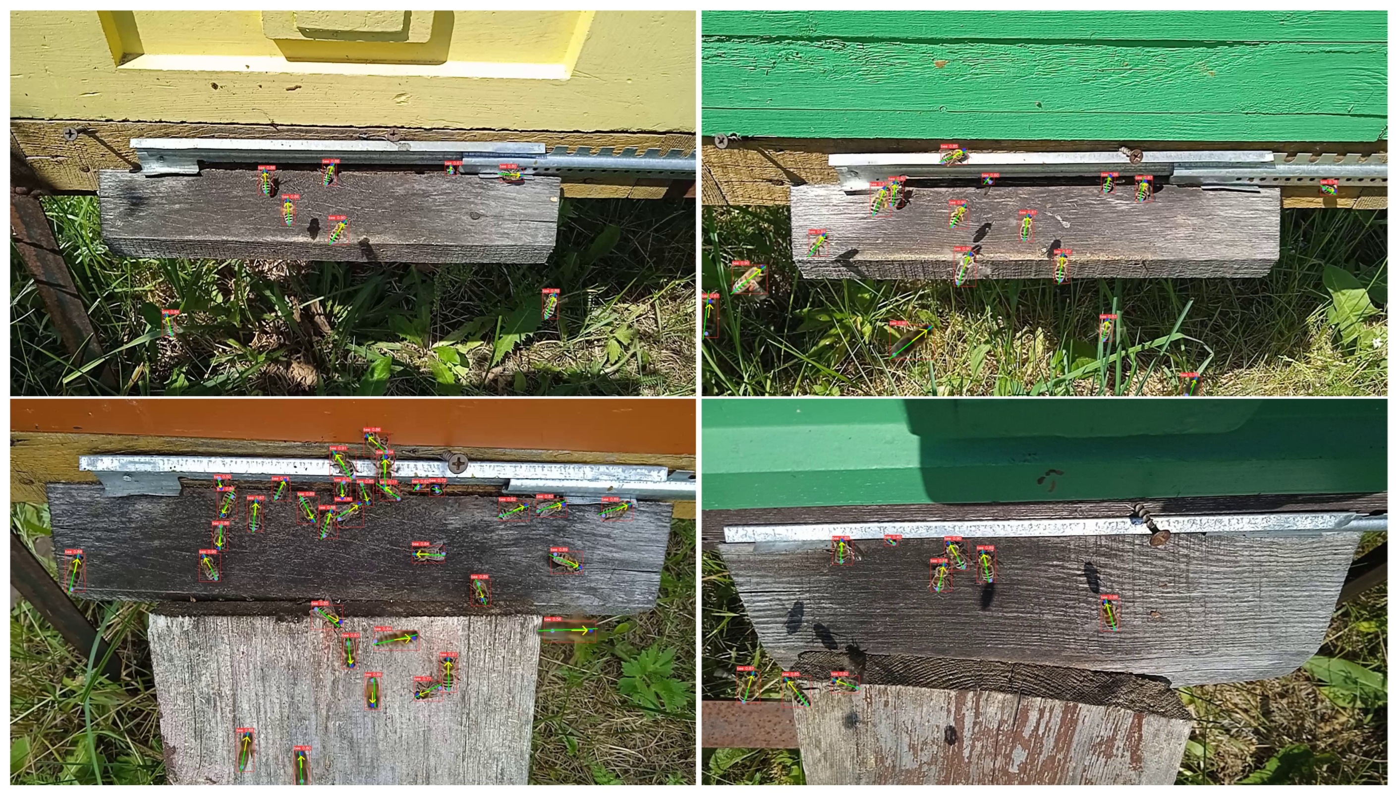 Agriculture 14 01890 g007