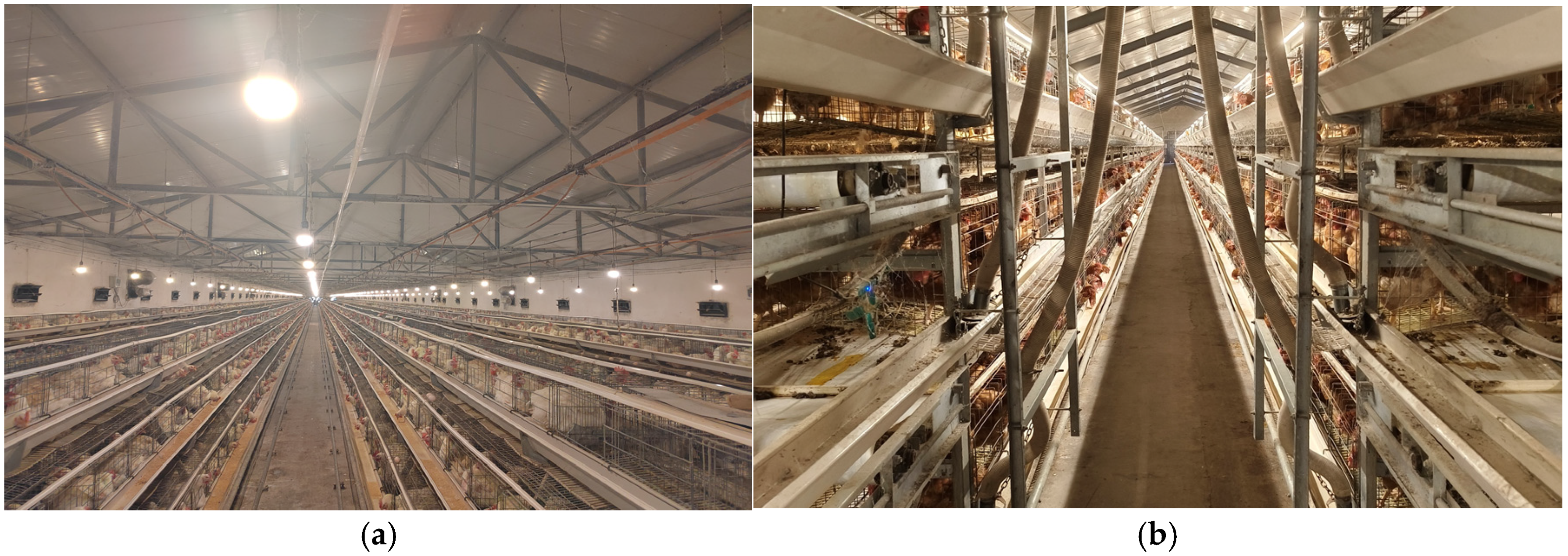 Agriculture 14 01891 g001