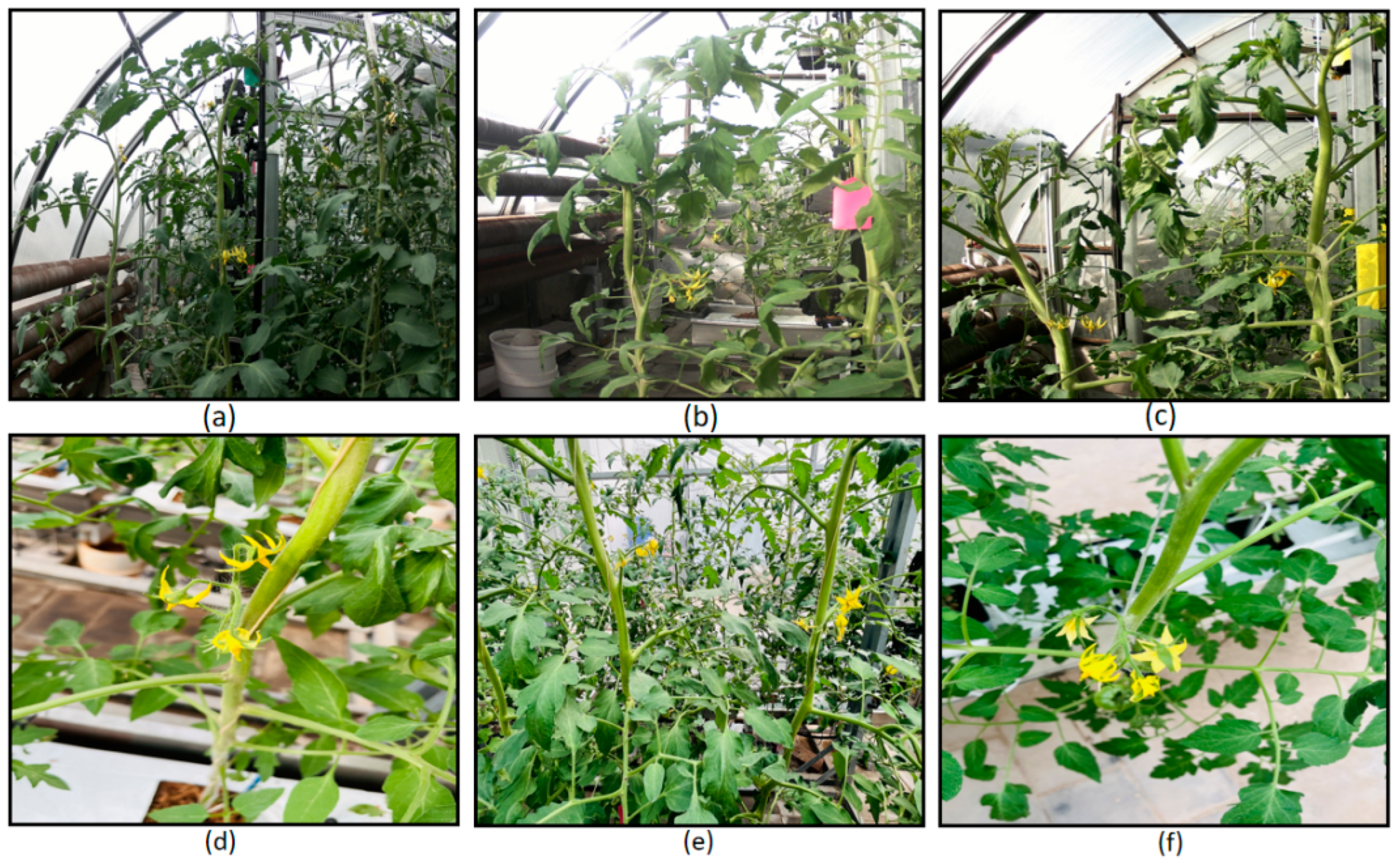 Agriculture 14 01893 g001