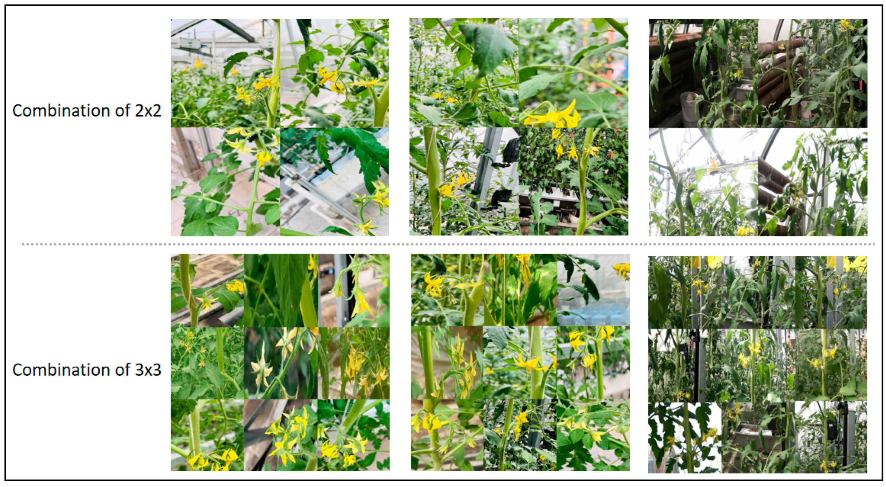 Agriculture 14 01893 g005