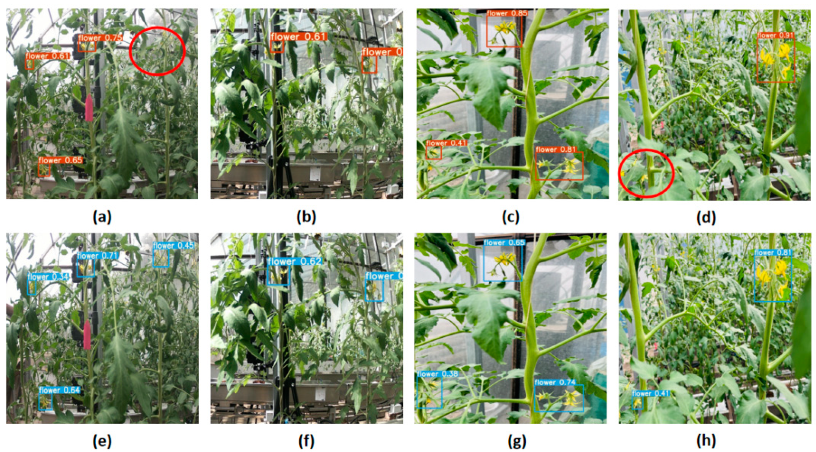 Agriculture 14 01893 g012