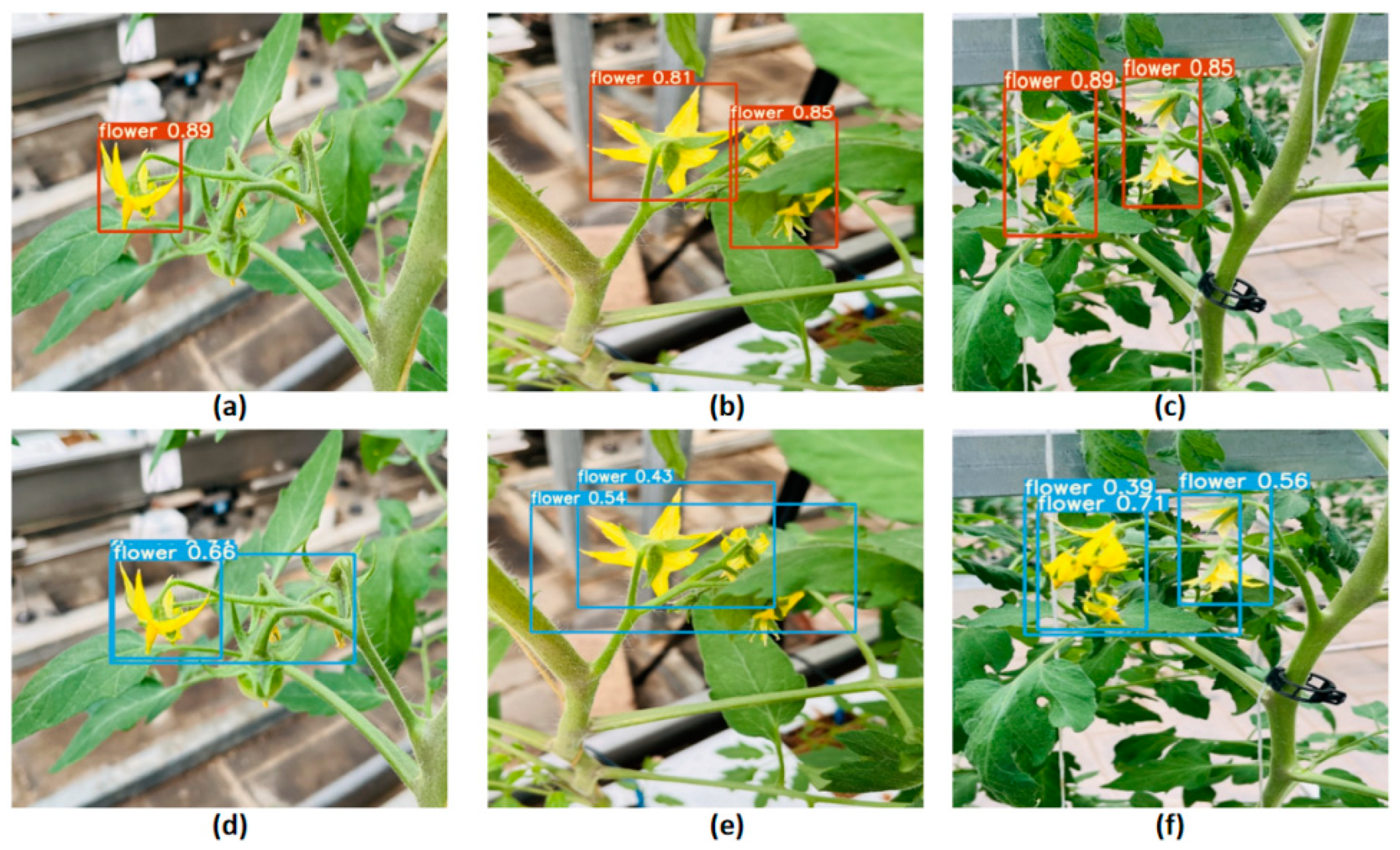 Agriculture 14 01893 g013