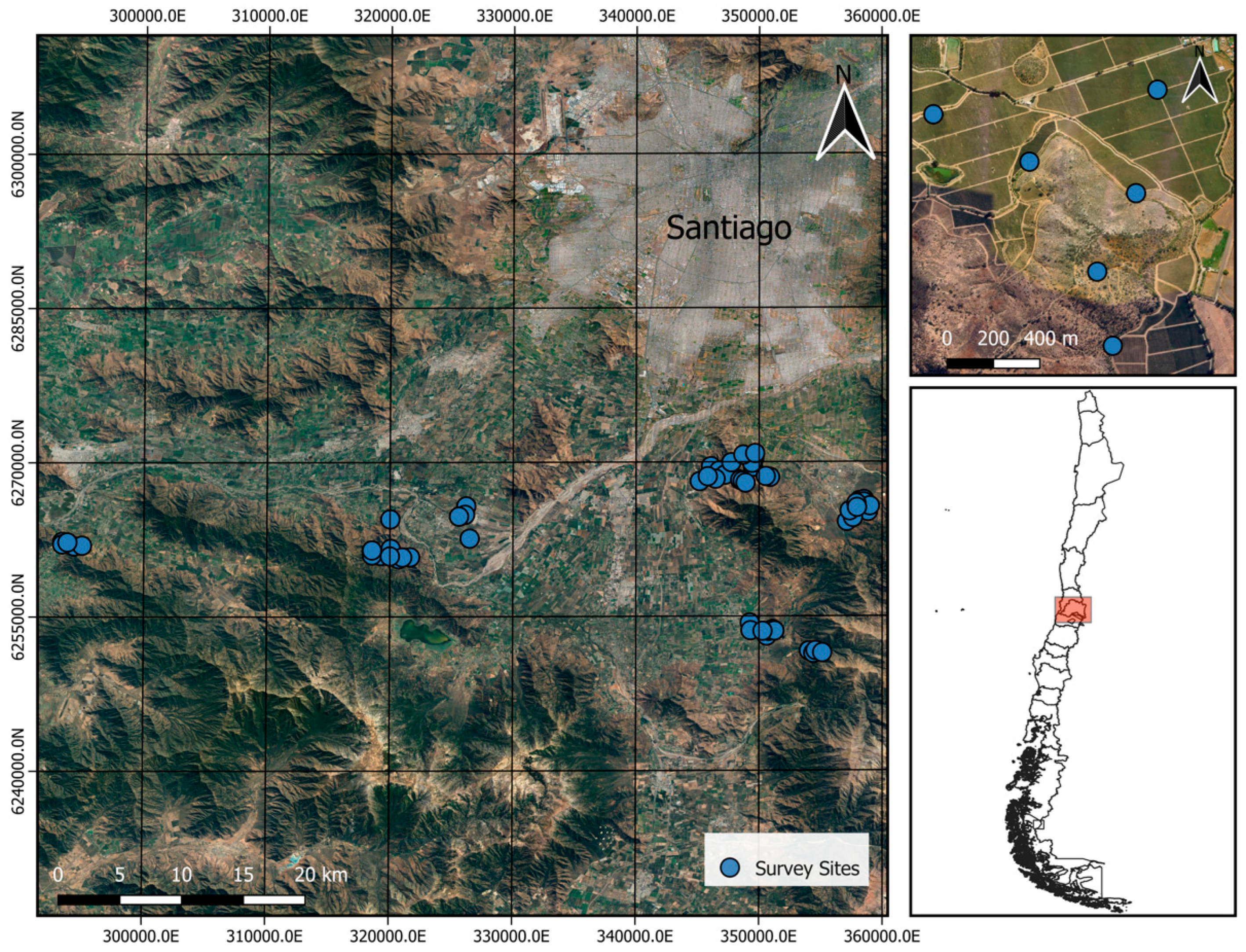 Agriculture 14 01896 g001 Agriculture 14 01896 g001