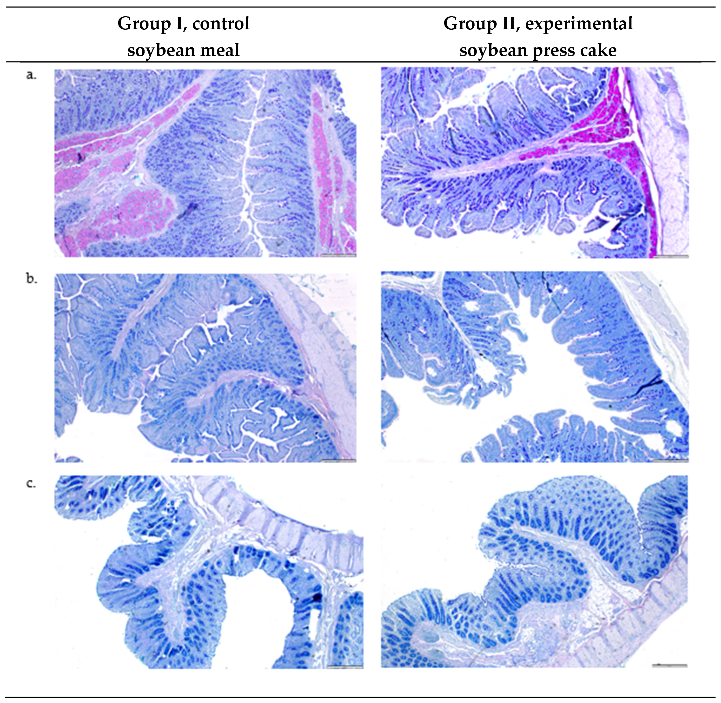 Agriculture 14 01899 g001
