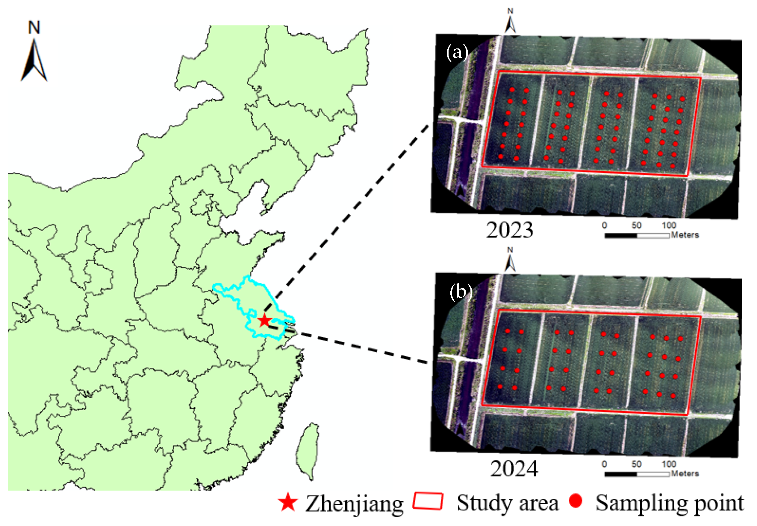 Agriculture 14 01900 g001
