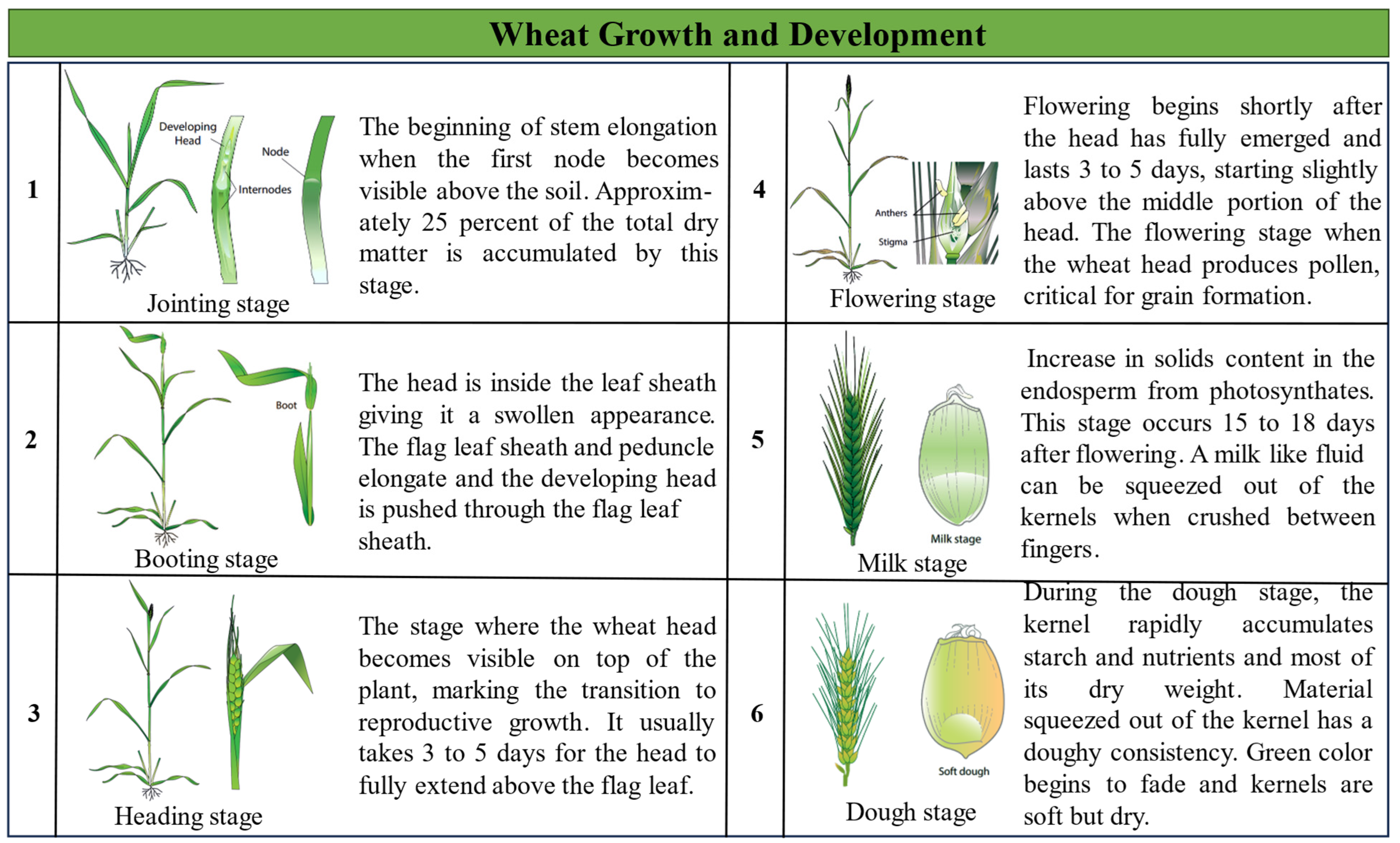 Agriculture 14 01900 g002