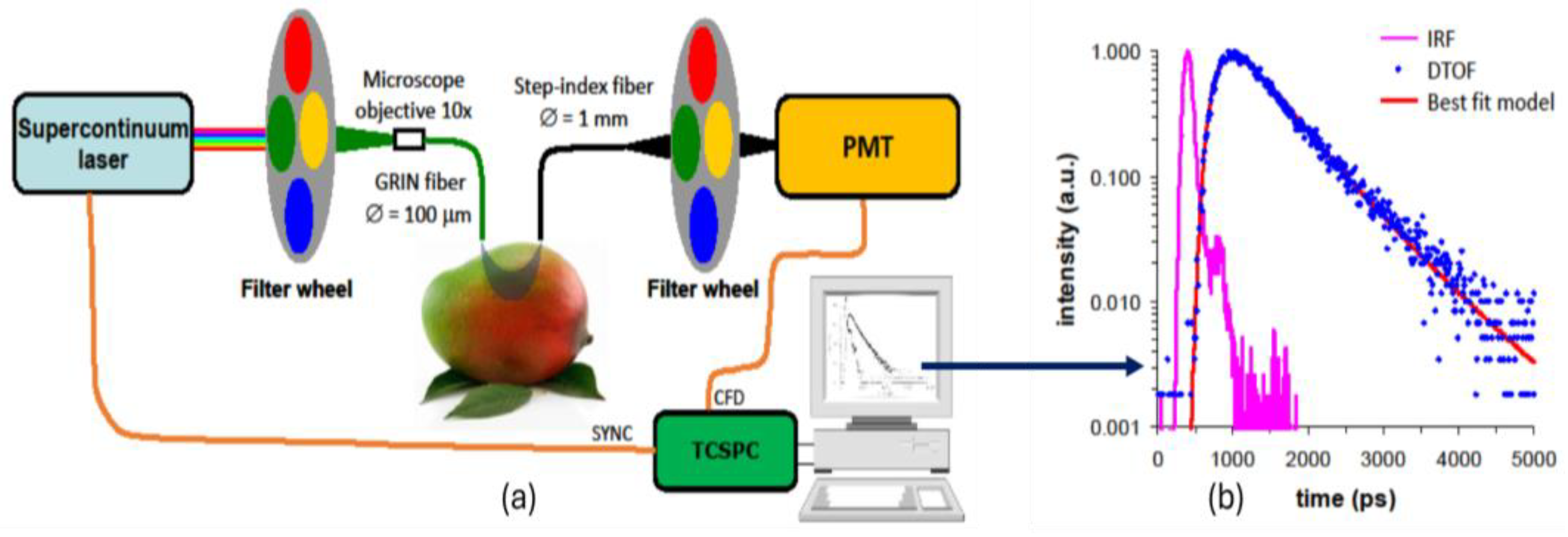 Agriculture 14 01902 g001