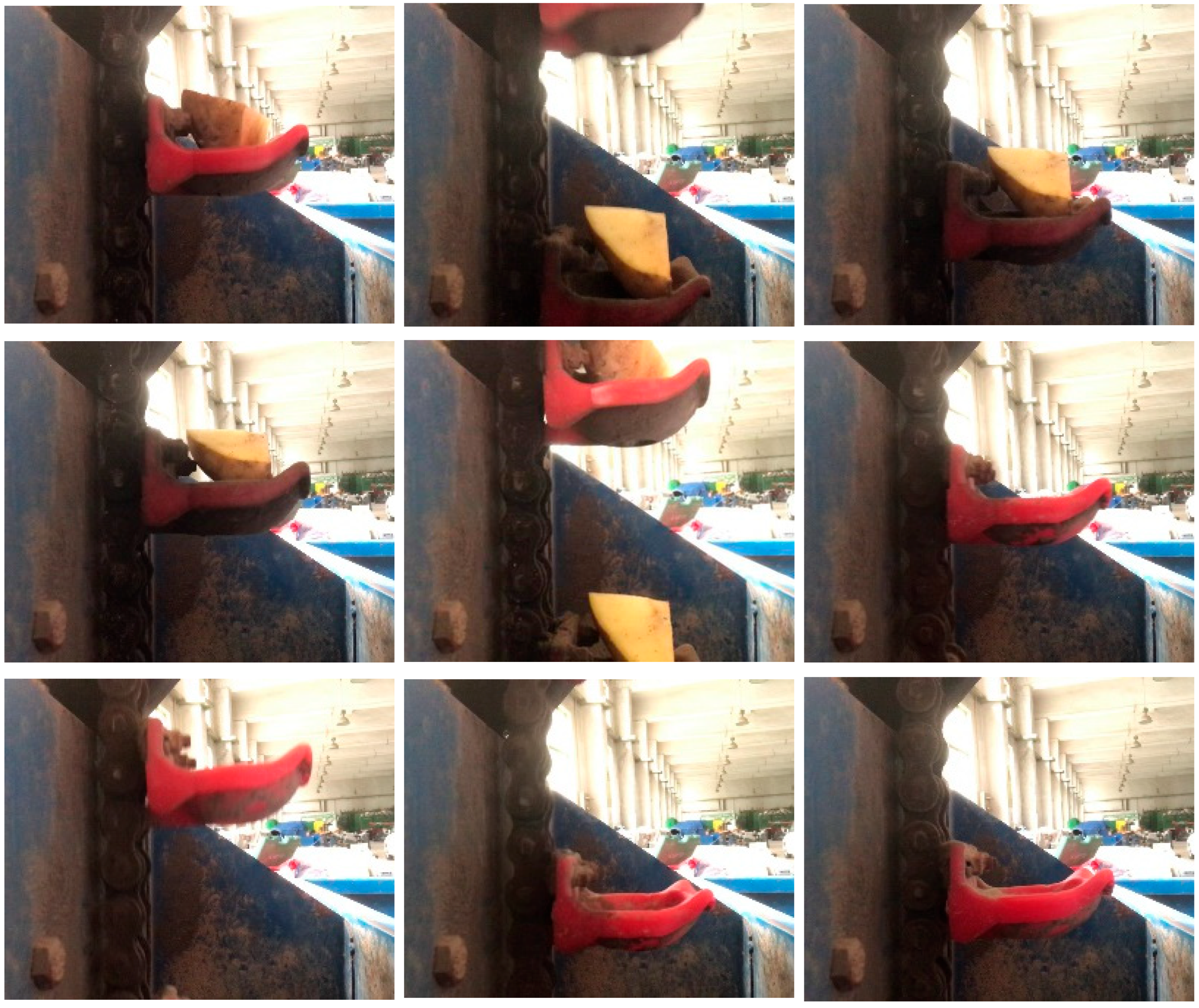 Agriculture 14 01905 g002