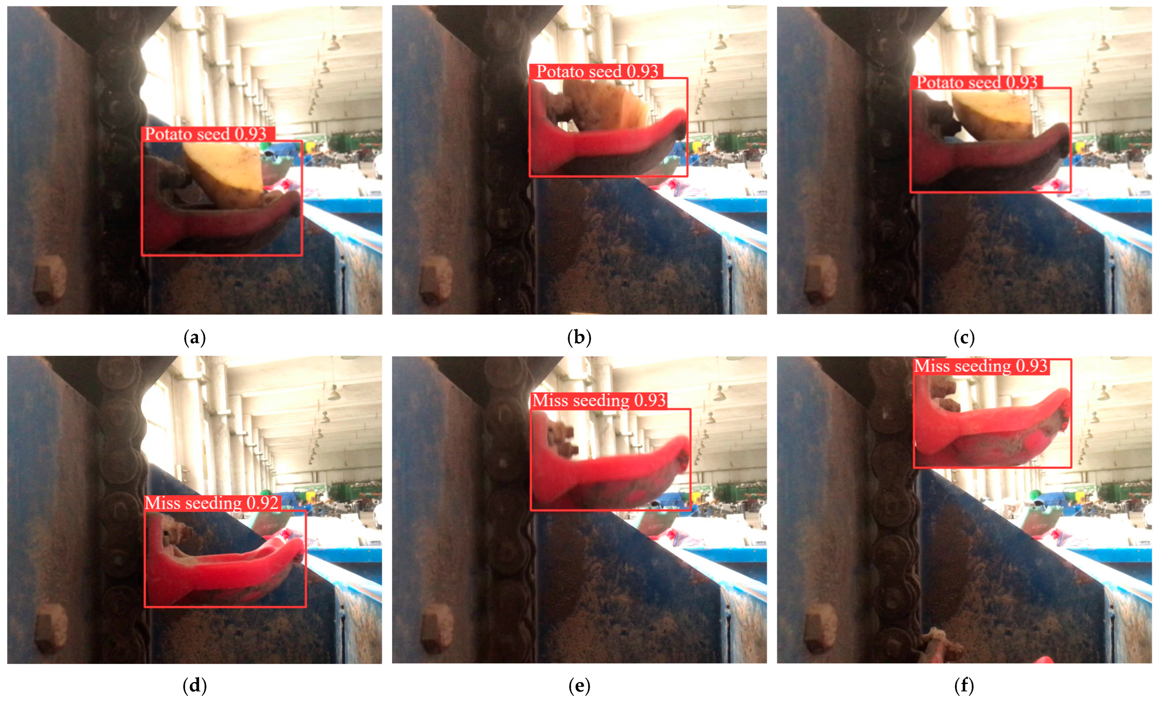 Agriculture 14 01905 g011a