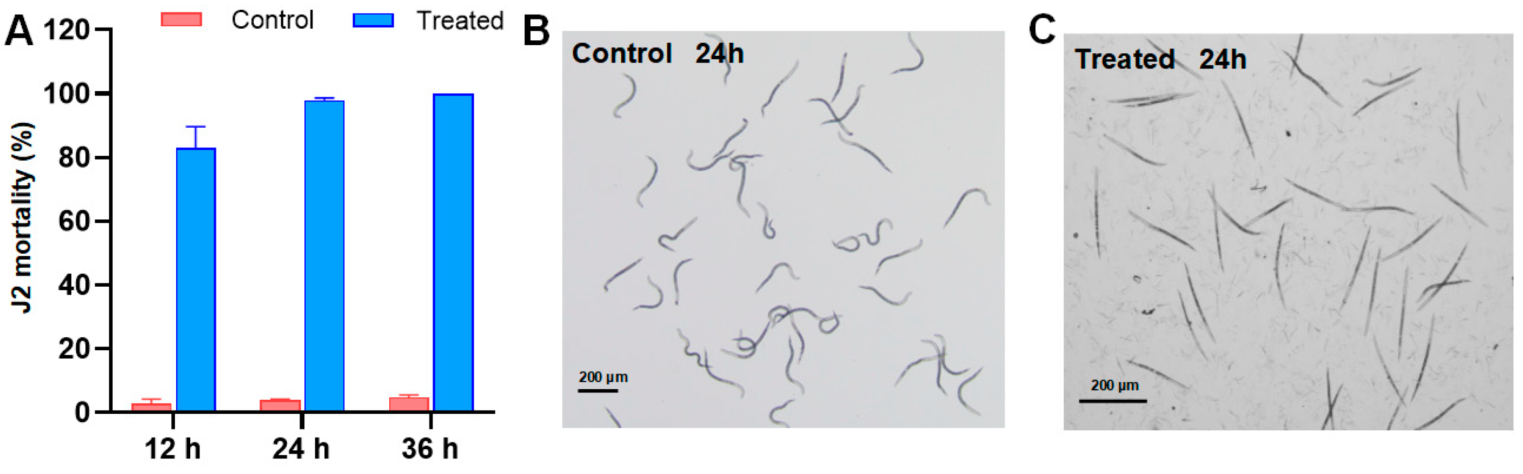Agriculture 14 01920 g001