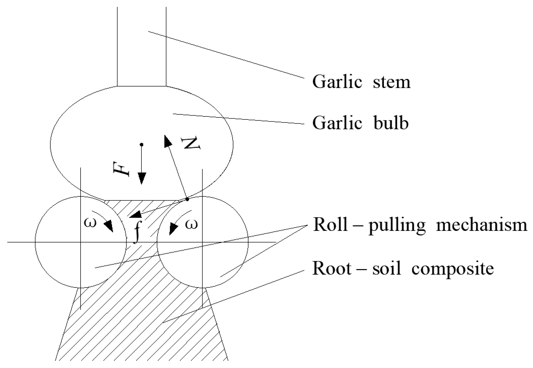 Agriculture 14 01922 g003