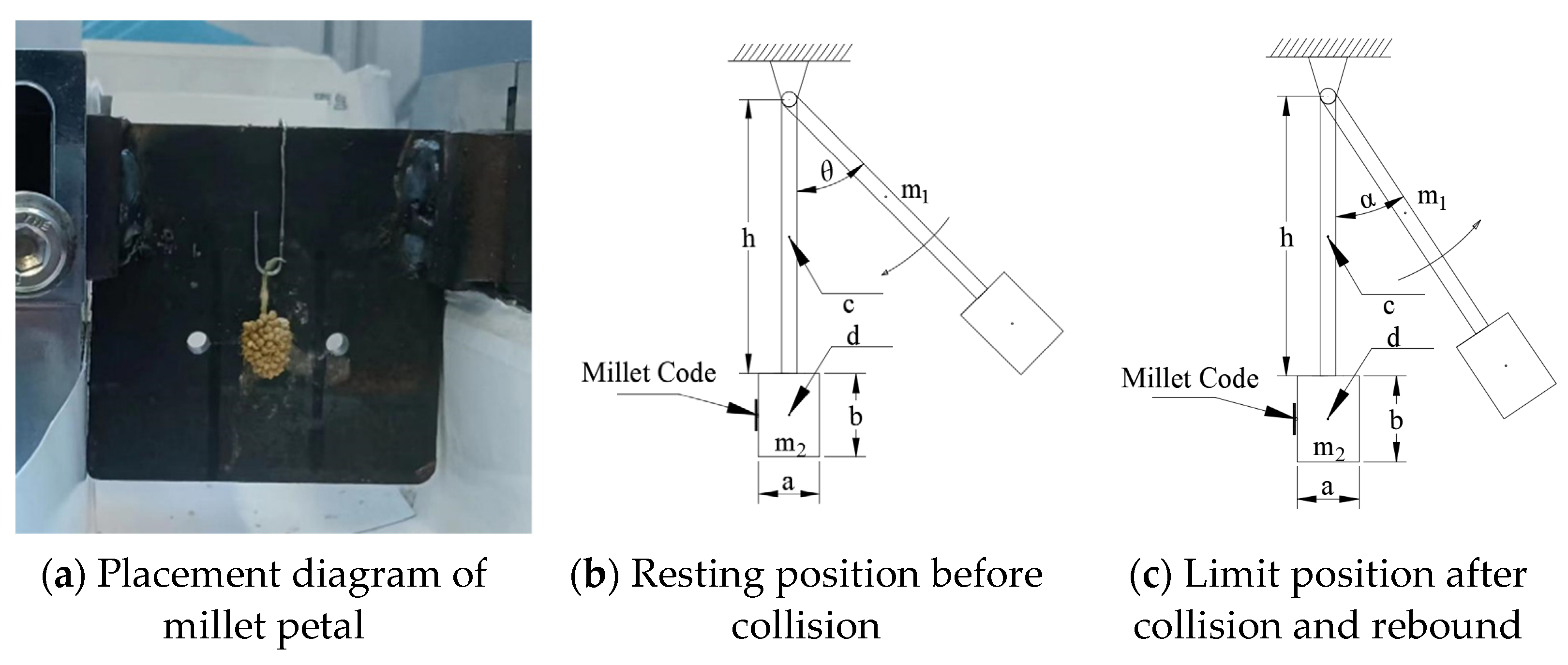 Agriculture 14 01925 g003