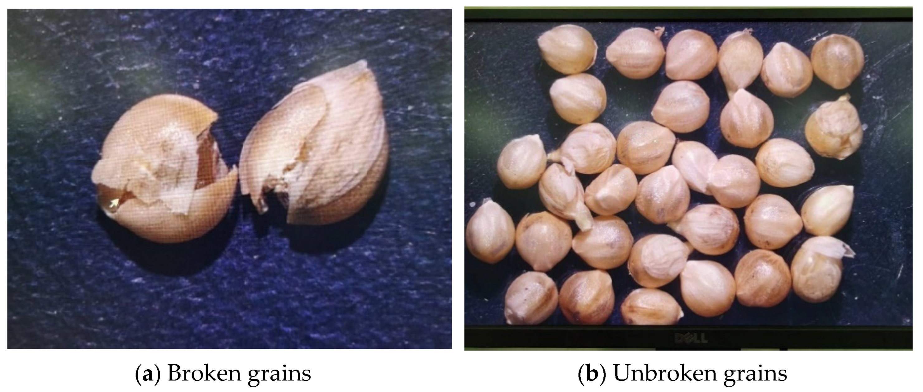 Agriculture 14 01925 g004
