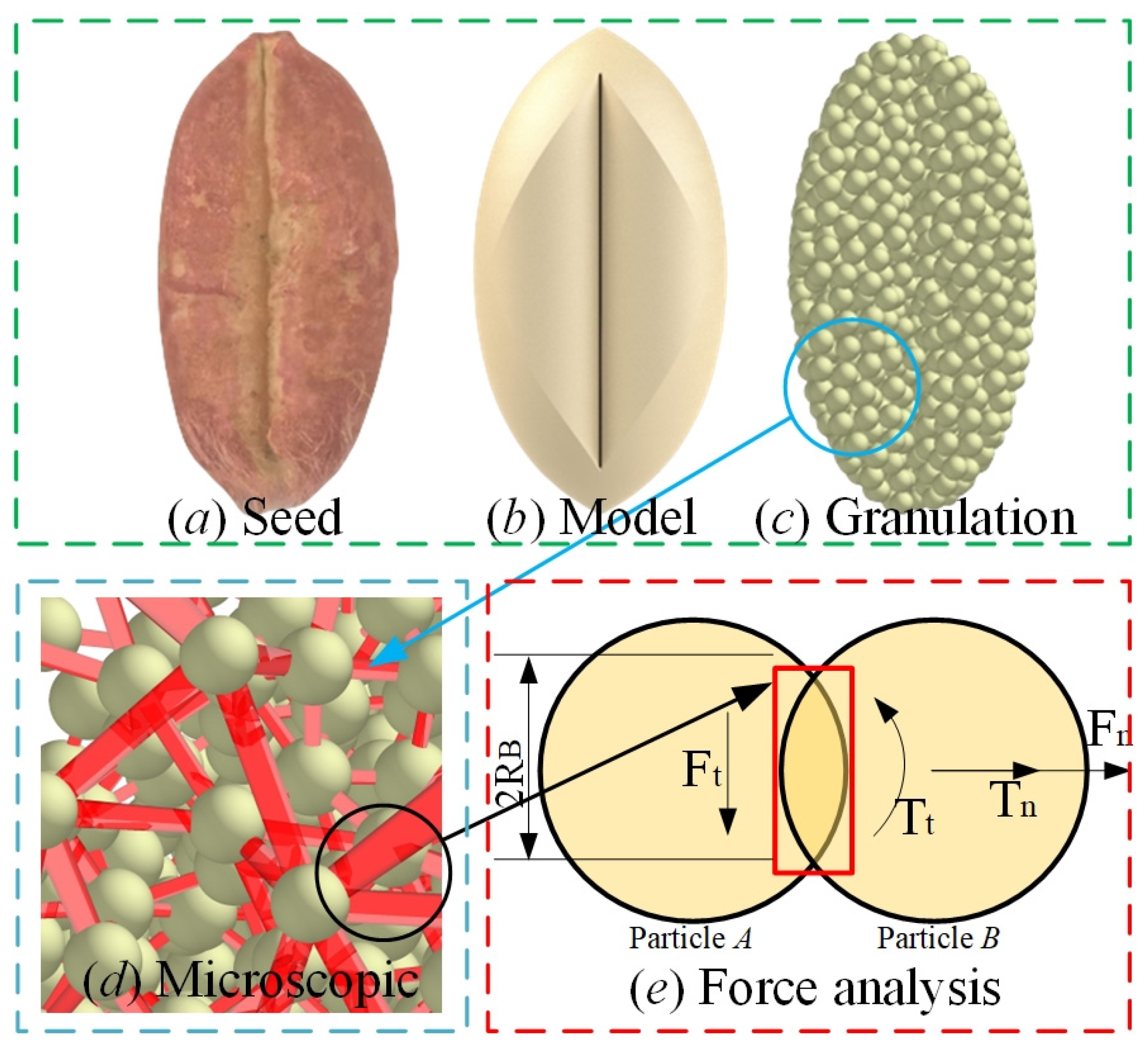 Agriculture 14 01931 g005 Agriculture 14 01931 g005