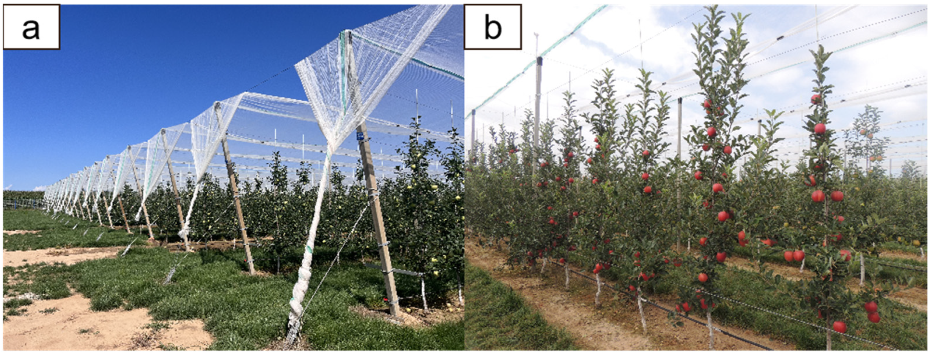 Agriculture 14 01958 g001