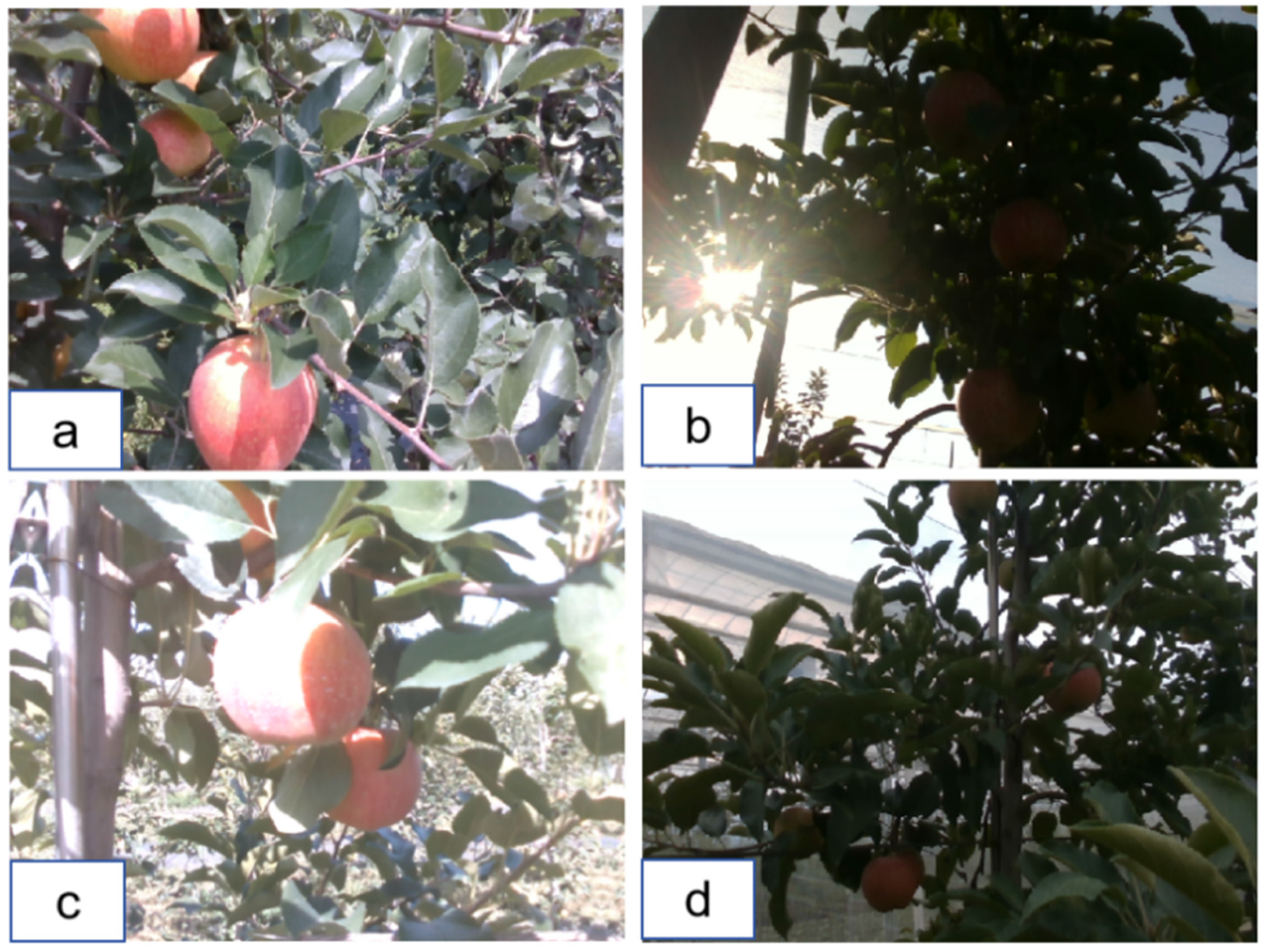 Agriculture 14 01958 g003