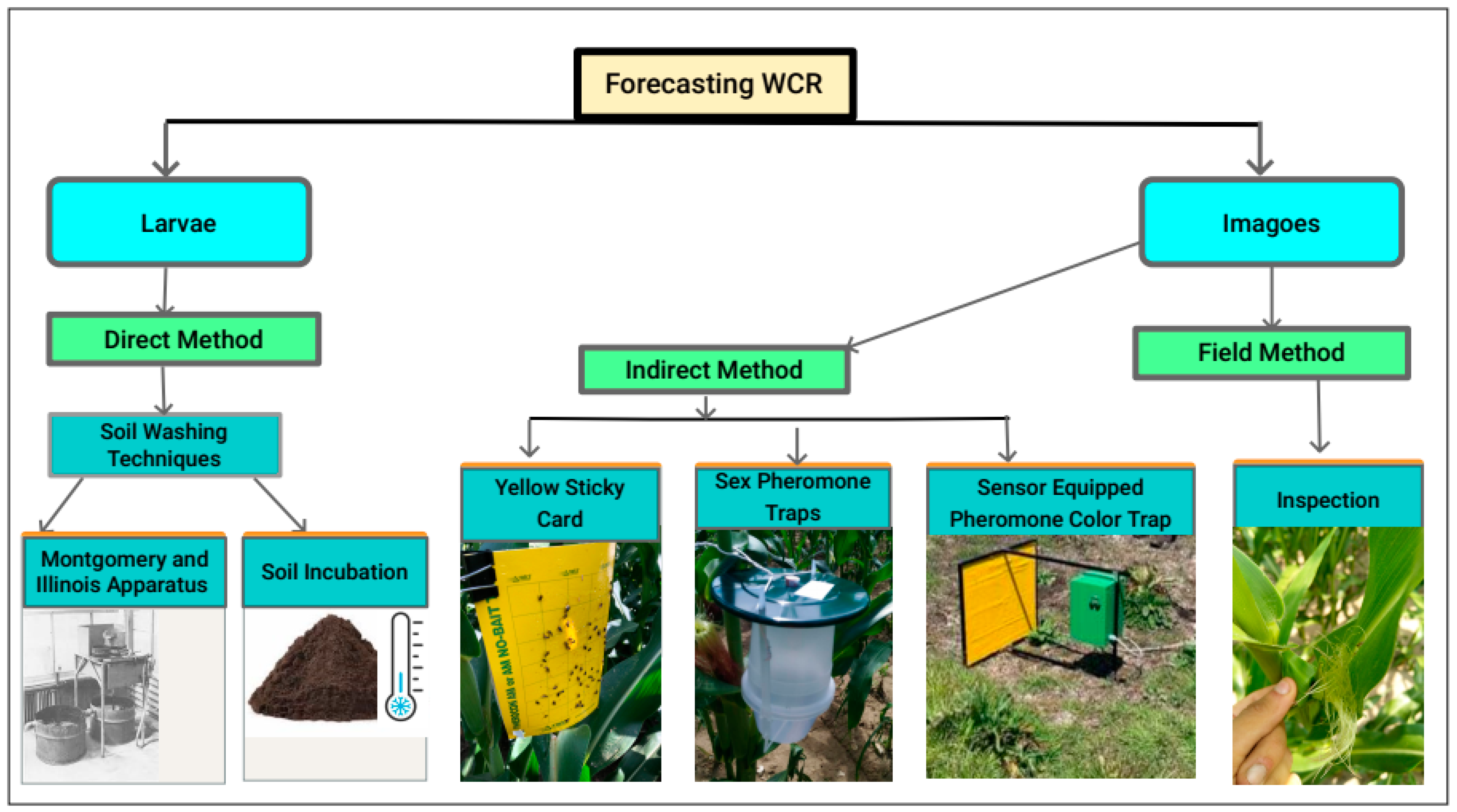 Agriculture 14 01959 g001