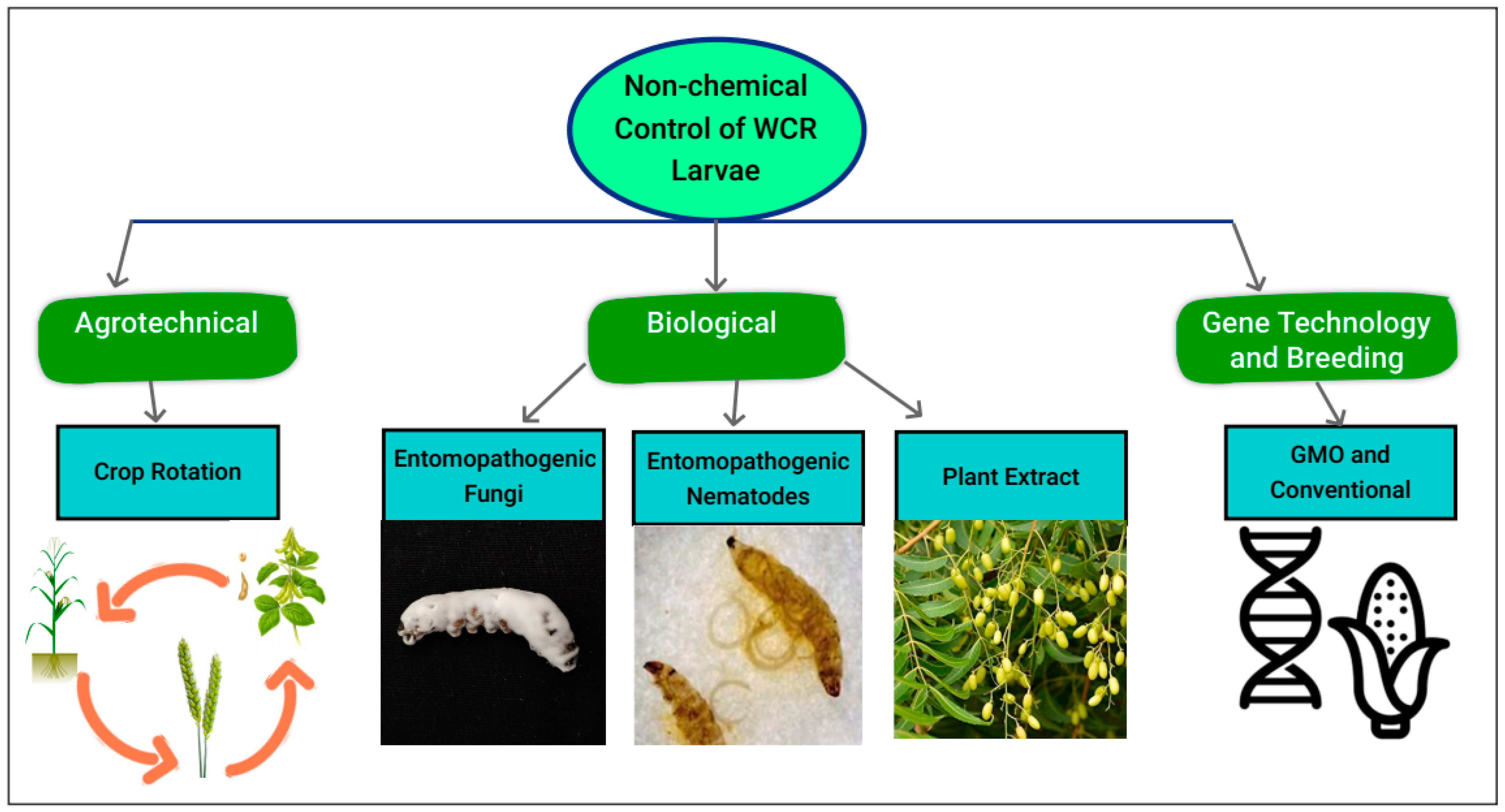 Agriculture 14 01959 g002