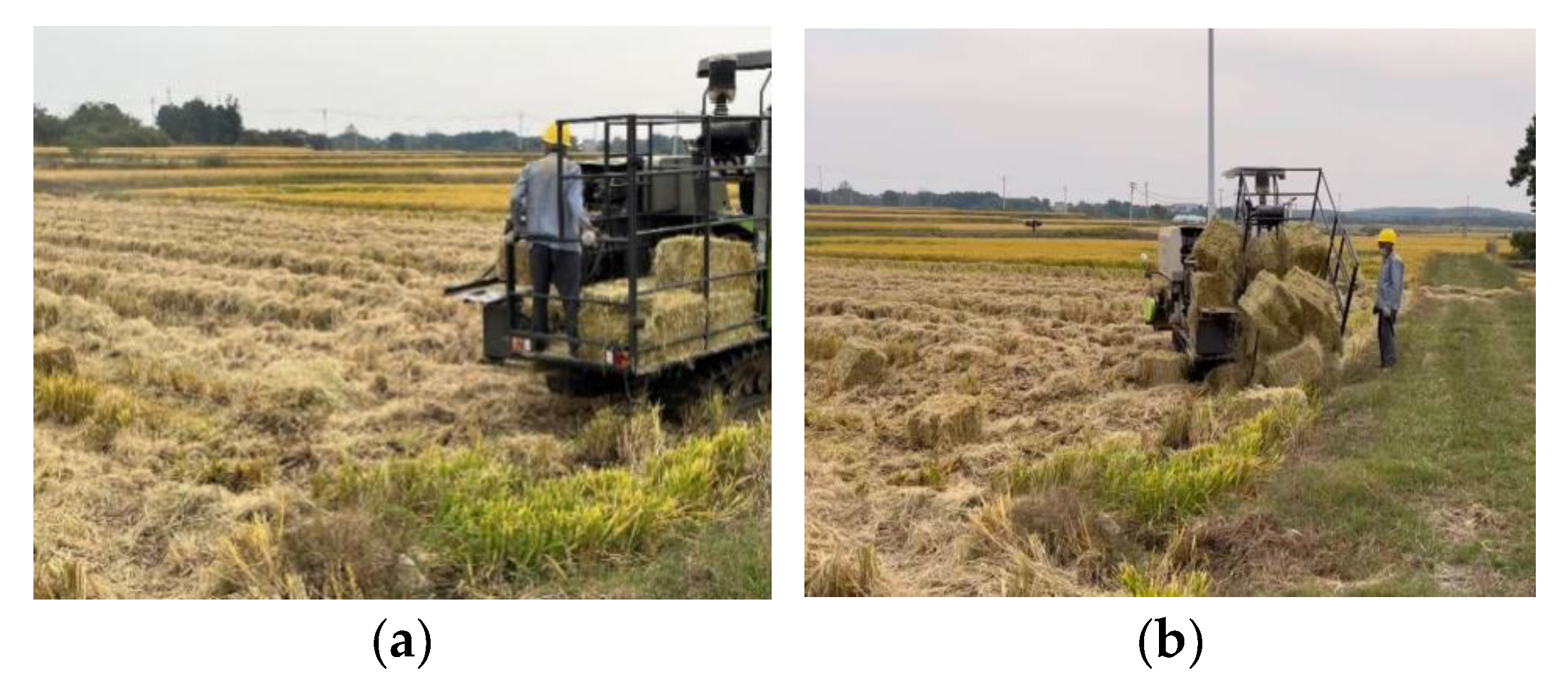 Agriculture 14 01960 g003