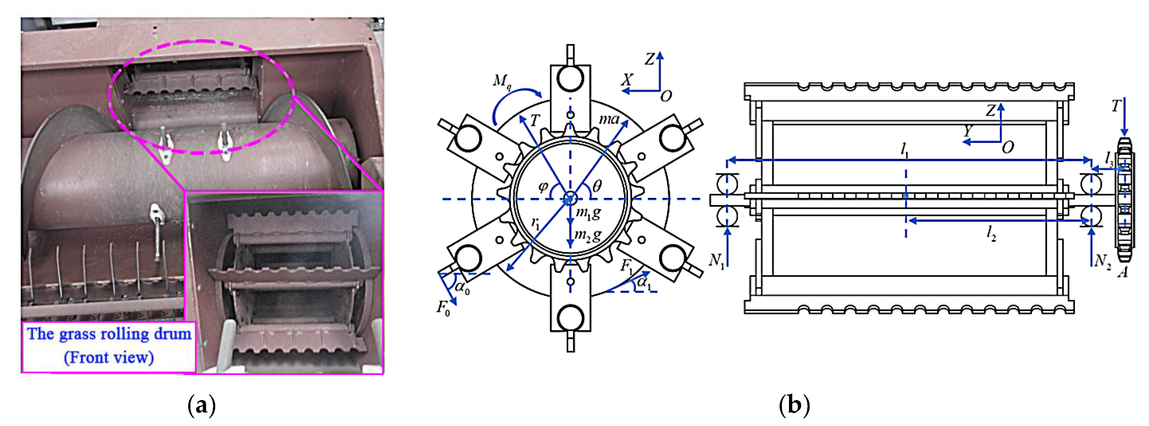 Agriculture 14 01960 g005