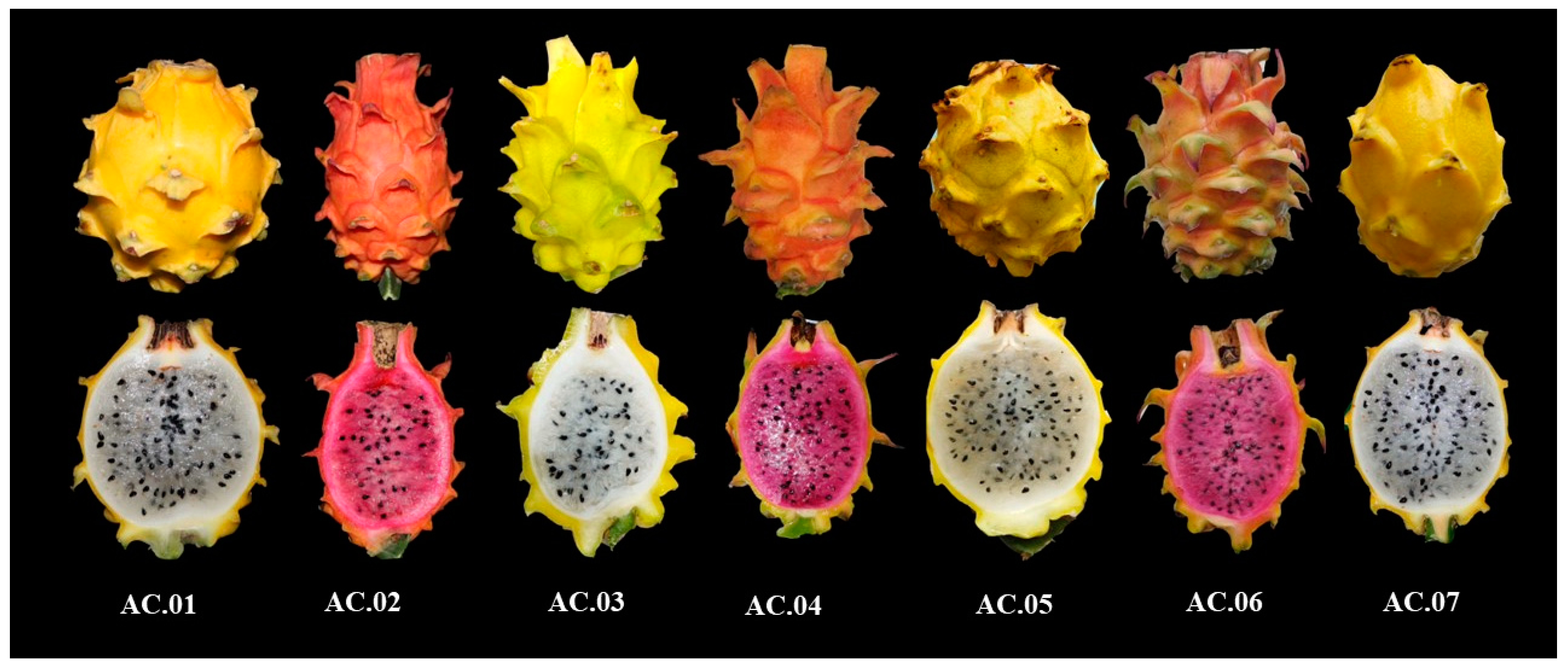 Agriculture 14 01968 g002