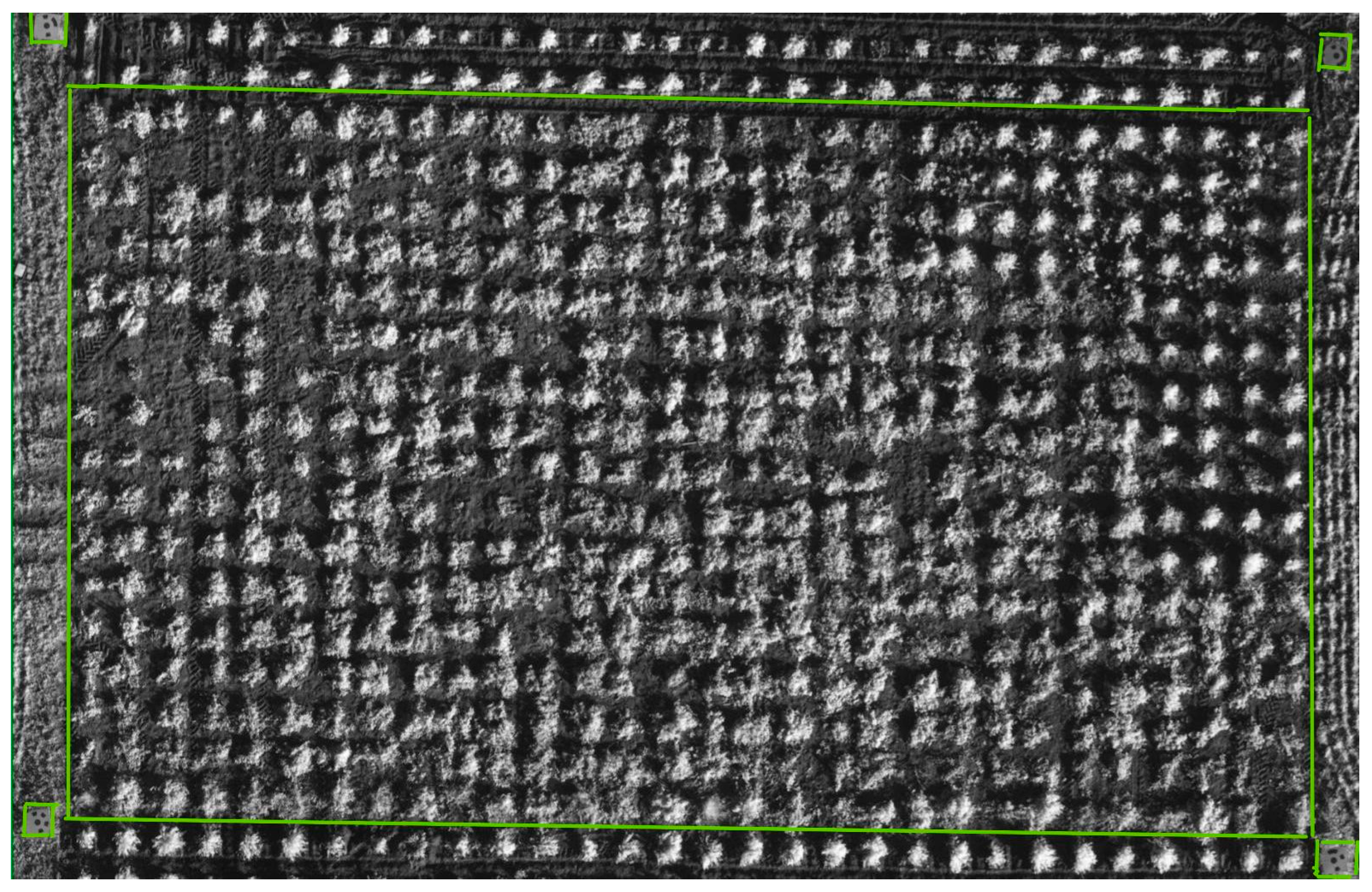 Agriculture 14 01969 g001