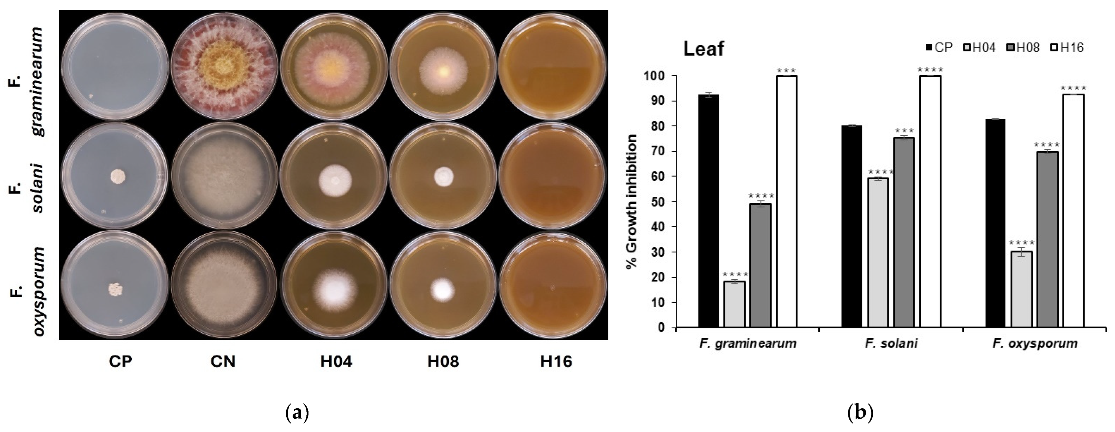 Agriculture 14 01975 g001a