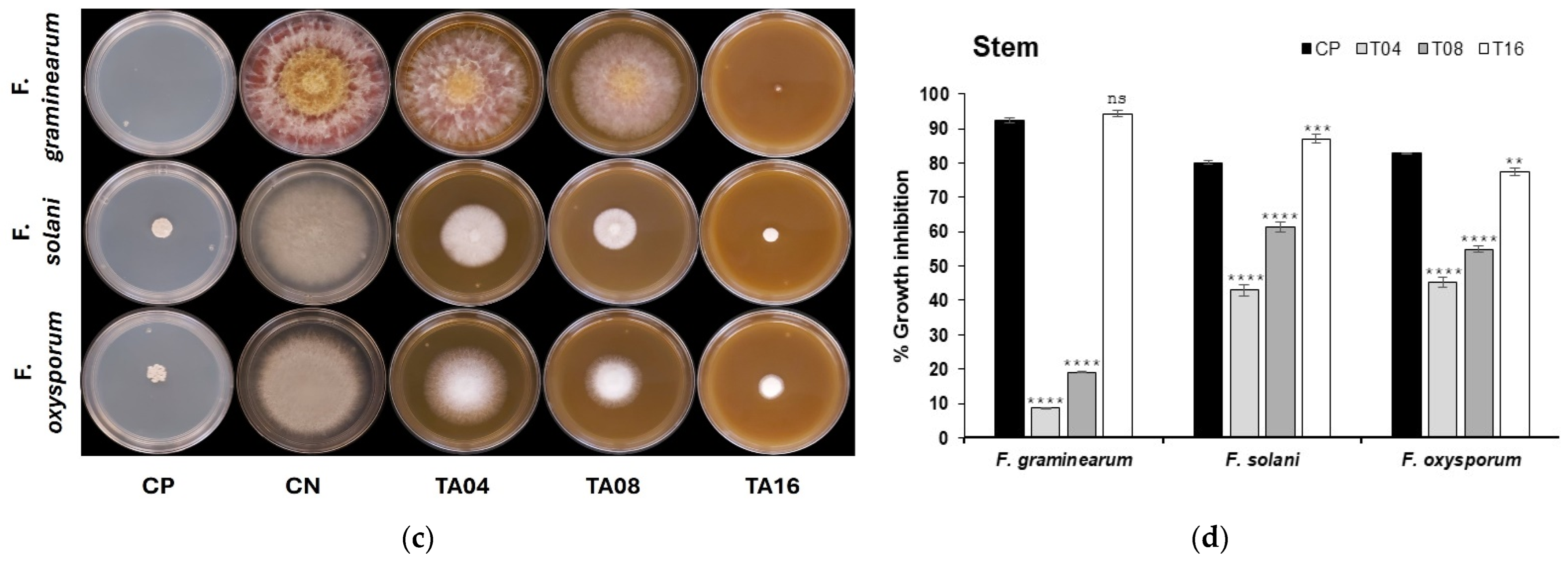 Agriculture 14 01975 g001b